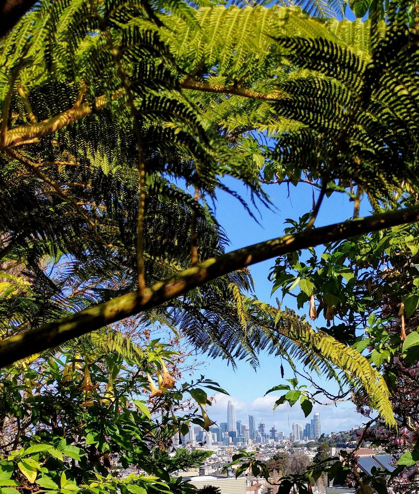 National Photography Month