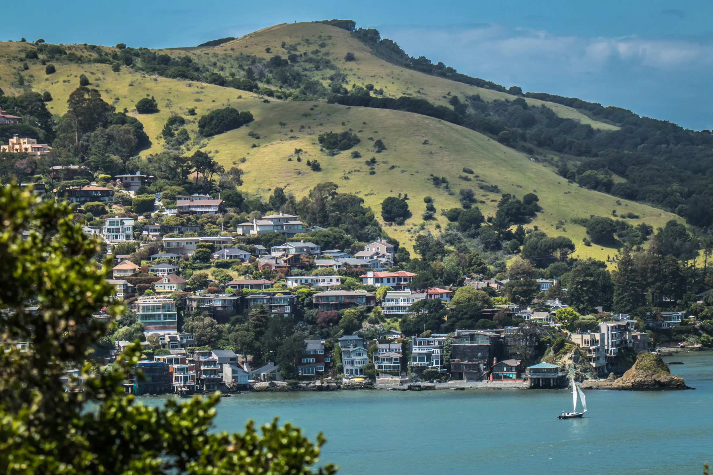 My Favorite Things About Living in Marin County