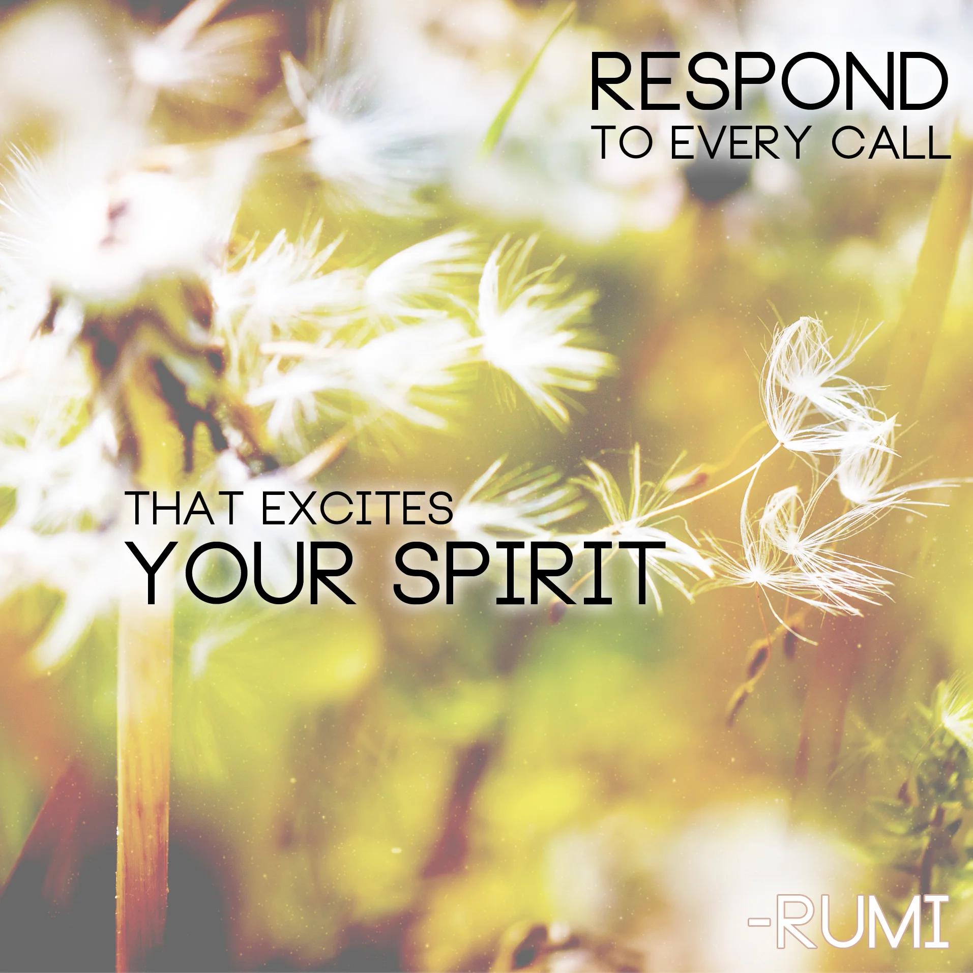 home-page-quote1.jpg
