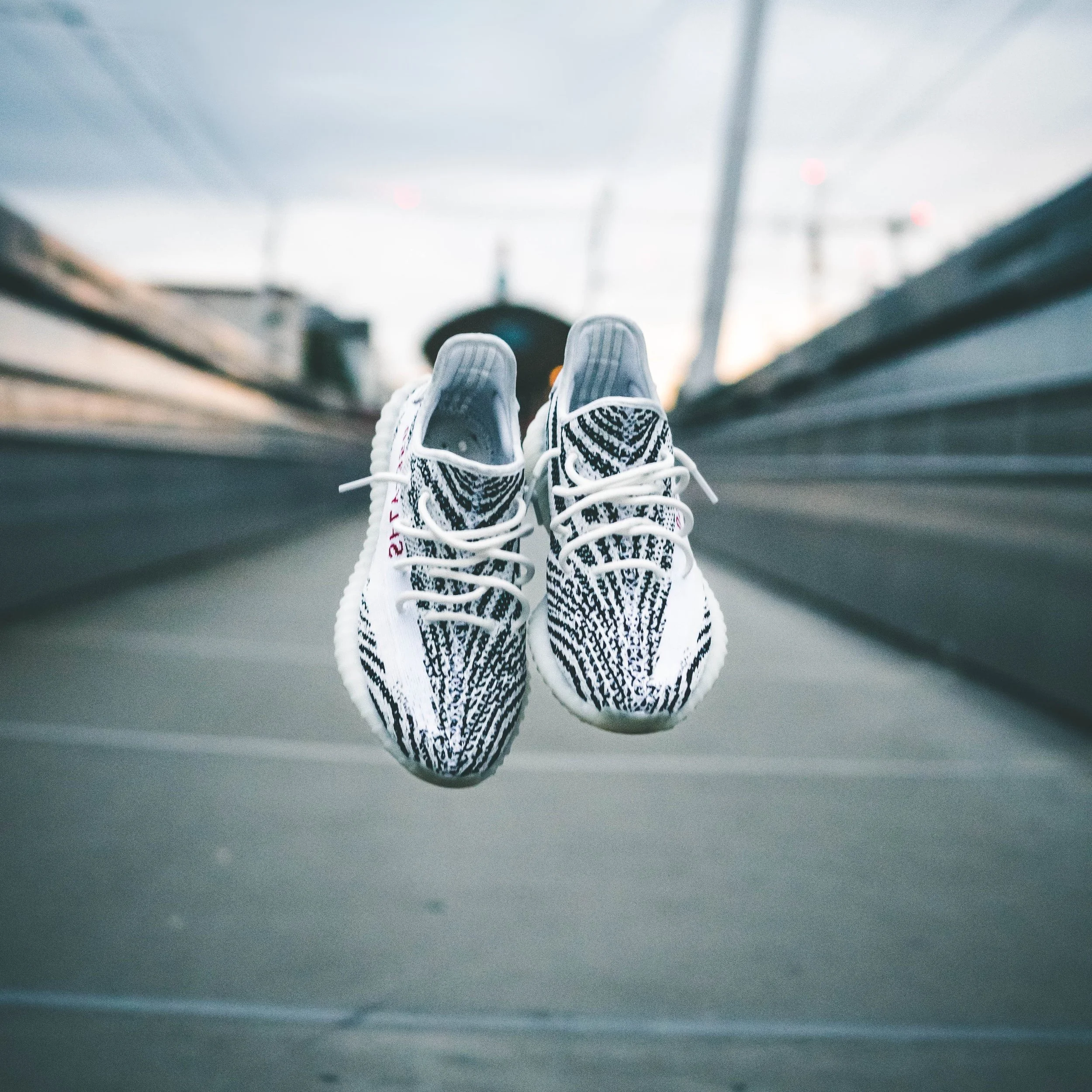 Photo by Greg Tockner on Unsplash