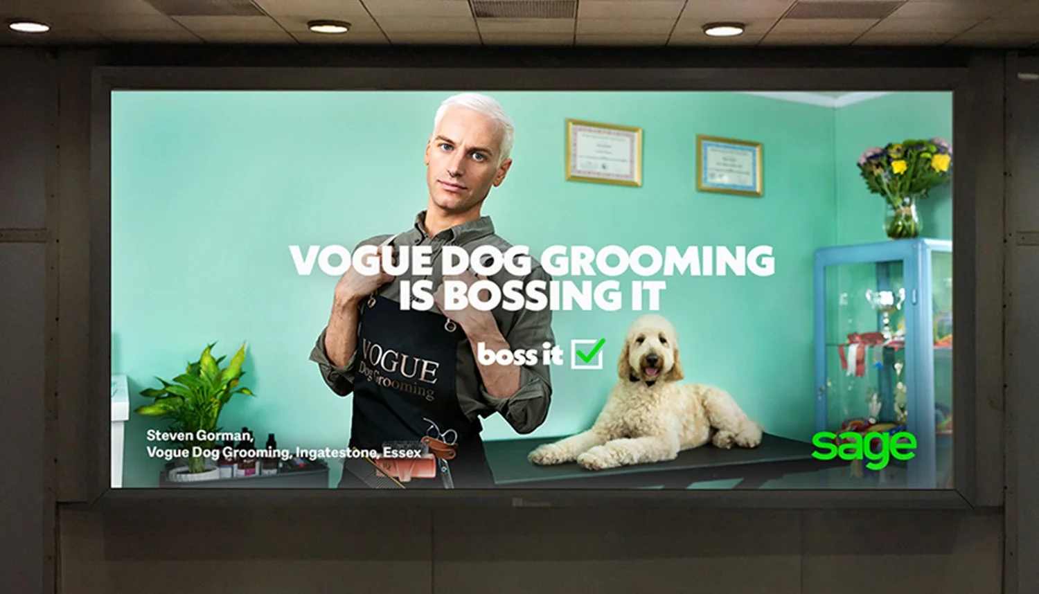 Sage_Vogue.jpg