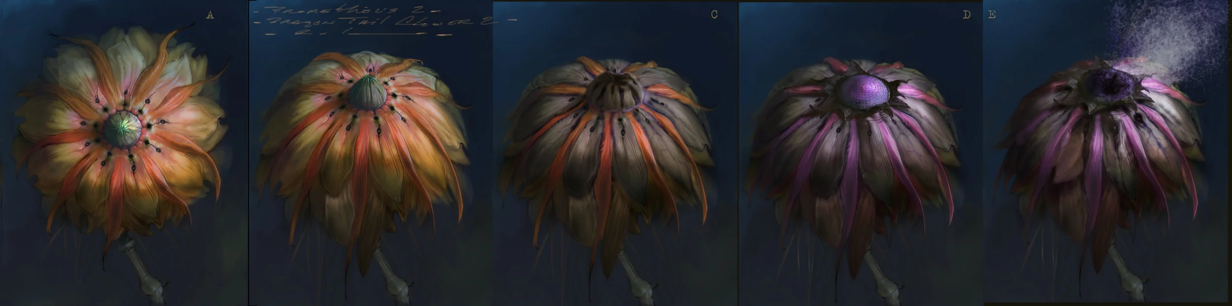 Flower 1(dragon tail) opening.jpg