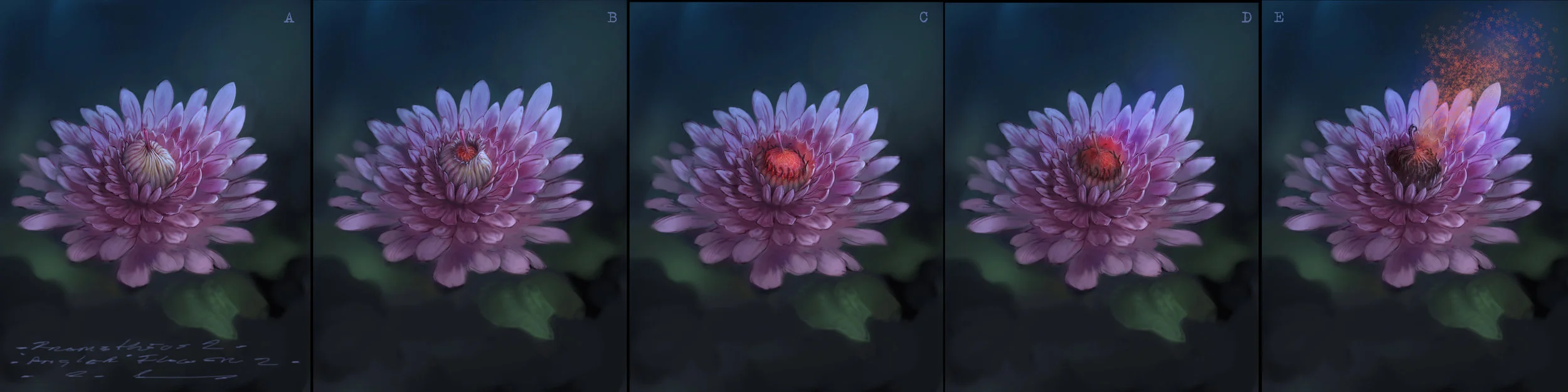 Flower 2a (angler)opening.jpg