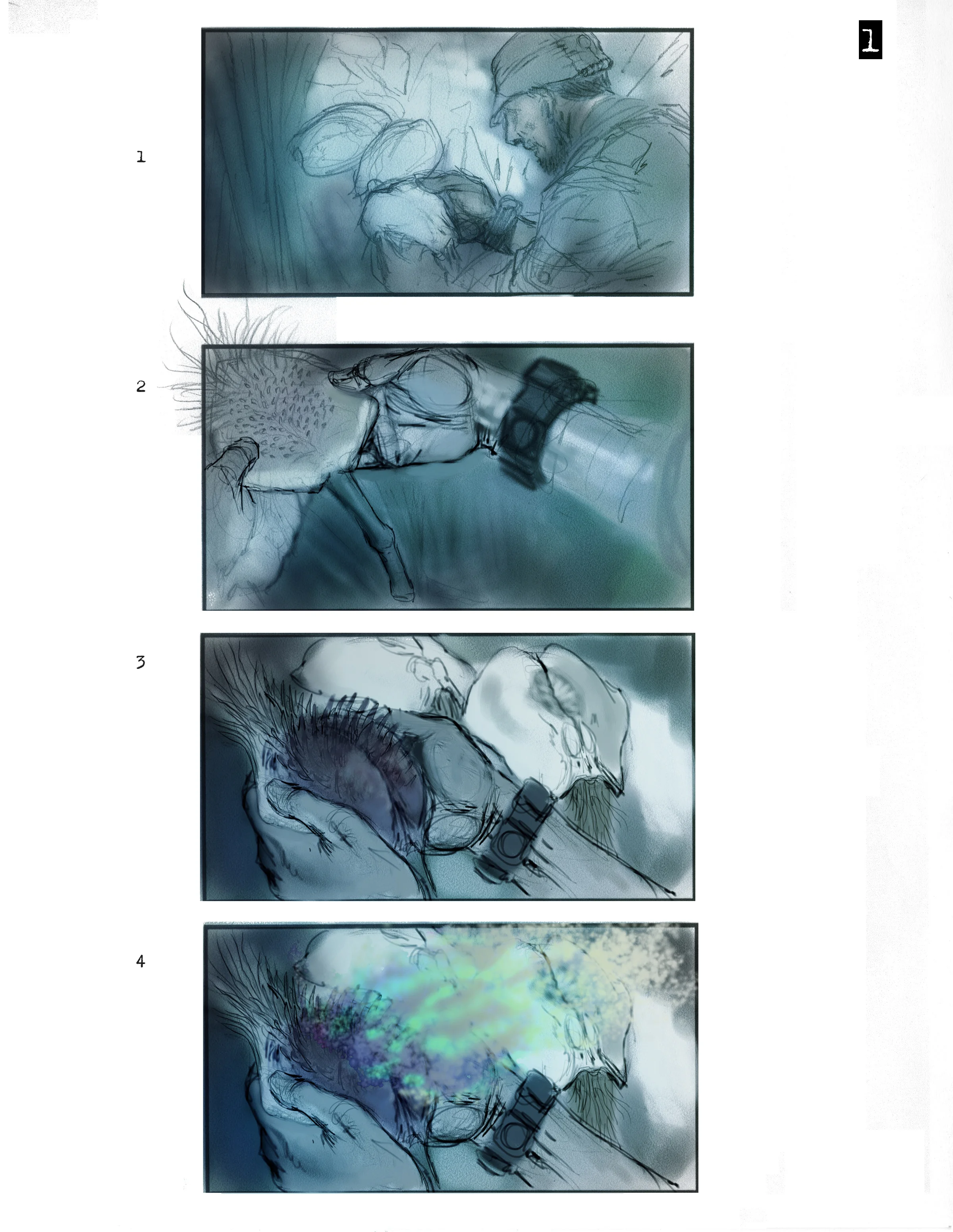 Pollen Boards pg1.jpg