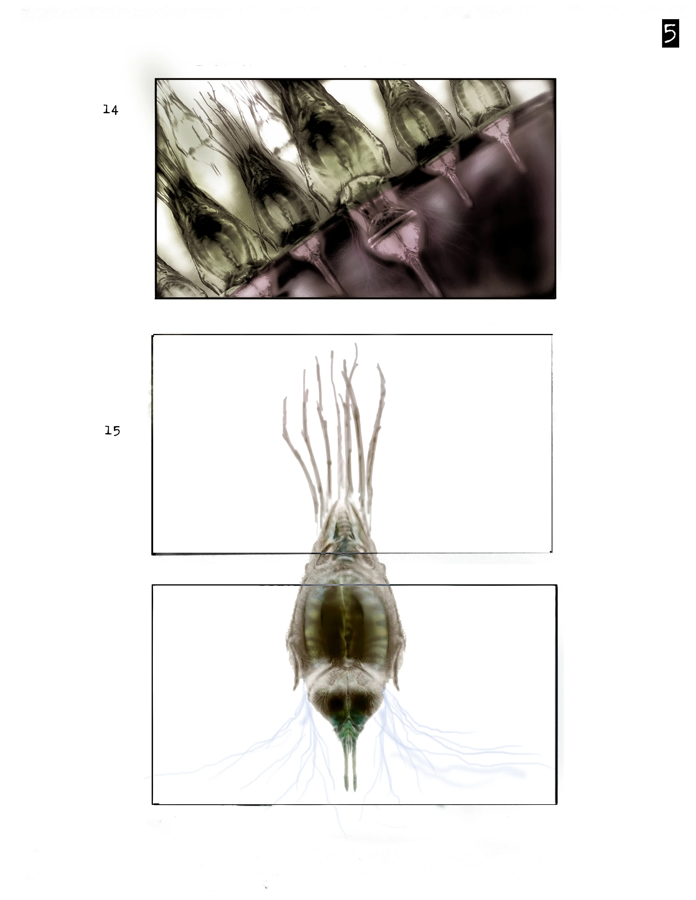 Pollen Boards pg 5.jpg