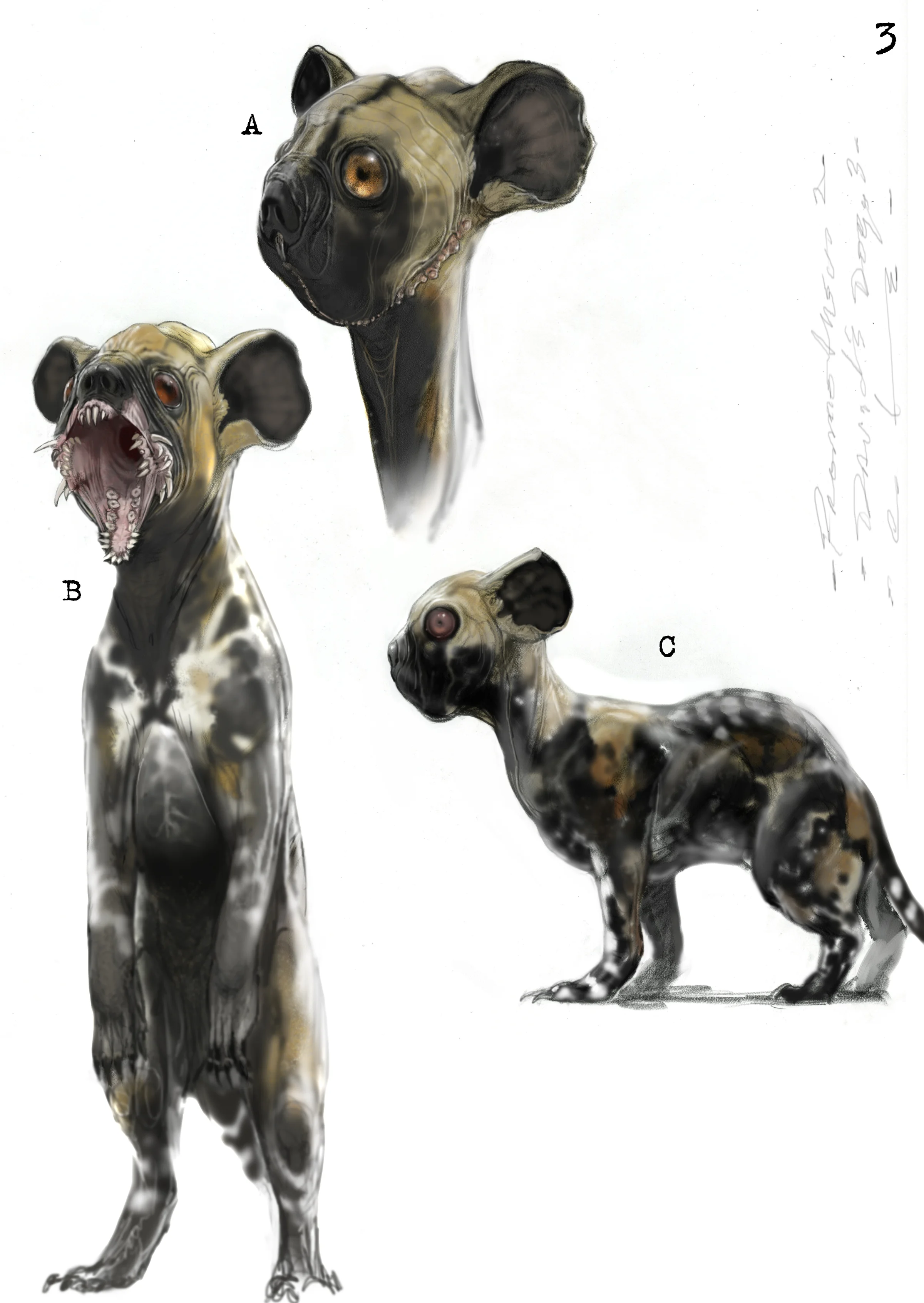 David's dogs 3clr.jpg