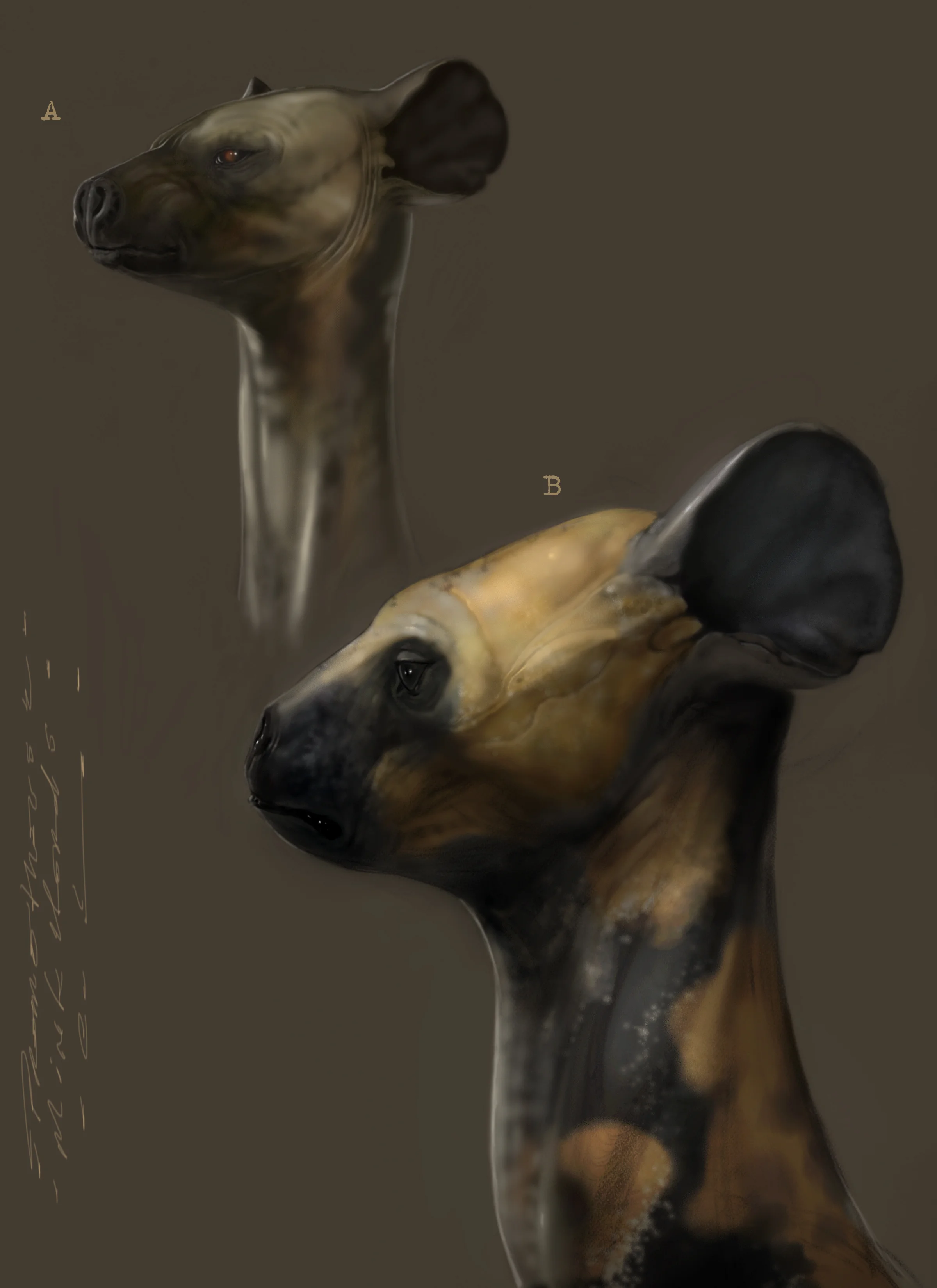 Mink head close-up.jpg