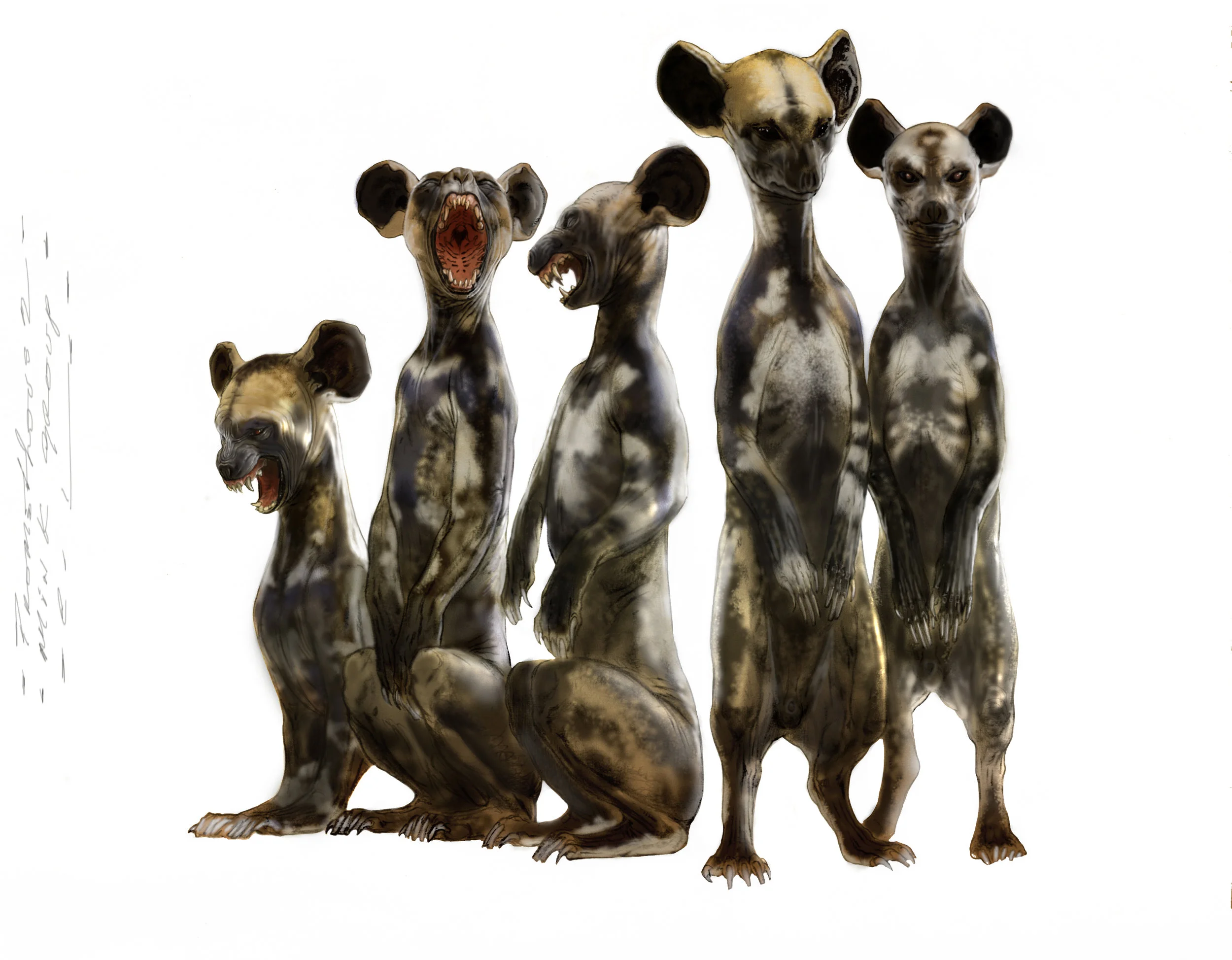 Minks group clr.jpg