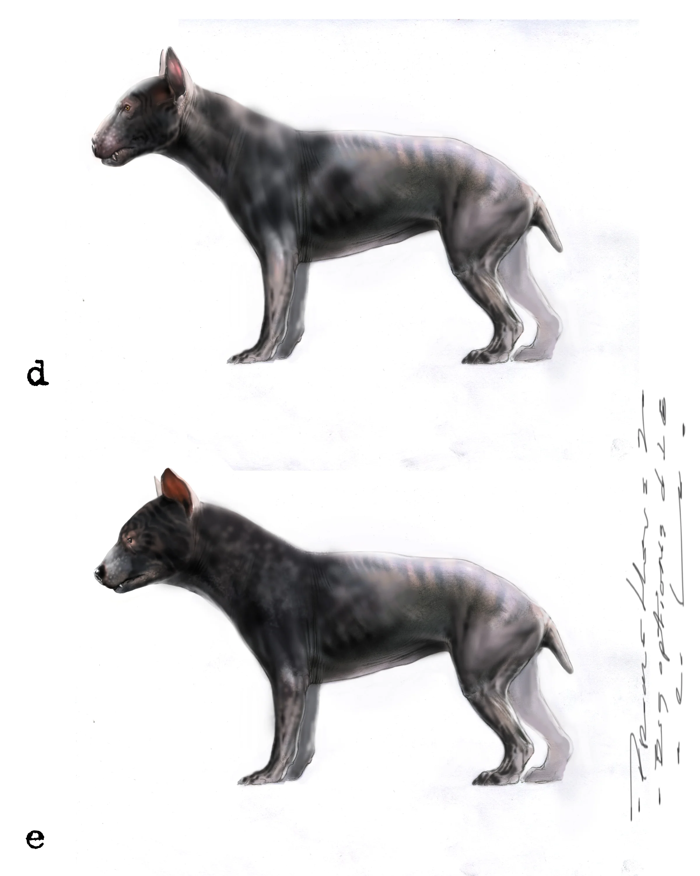 Bug options d and e.jpg