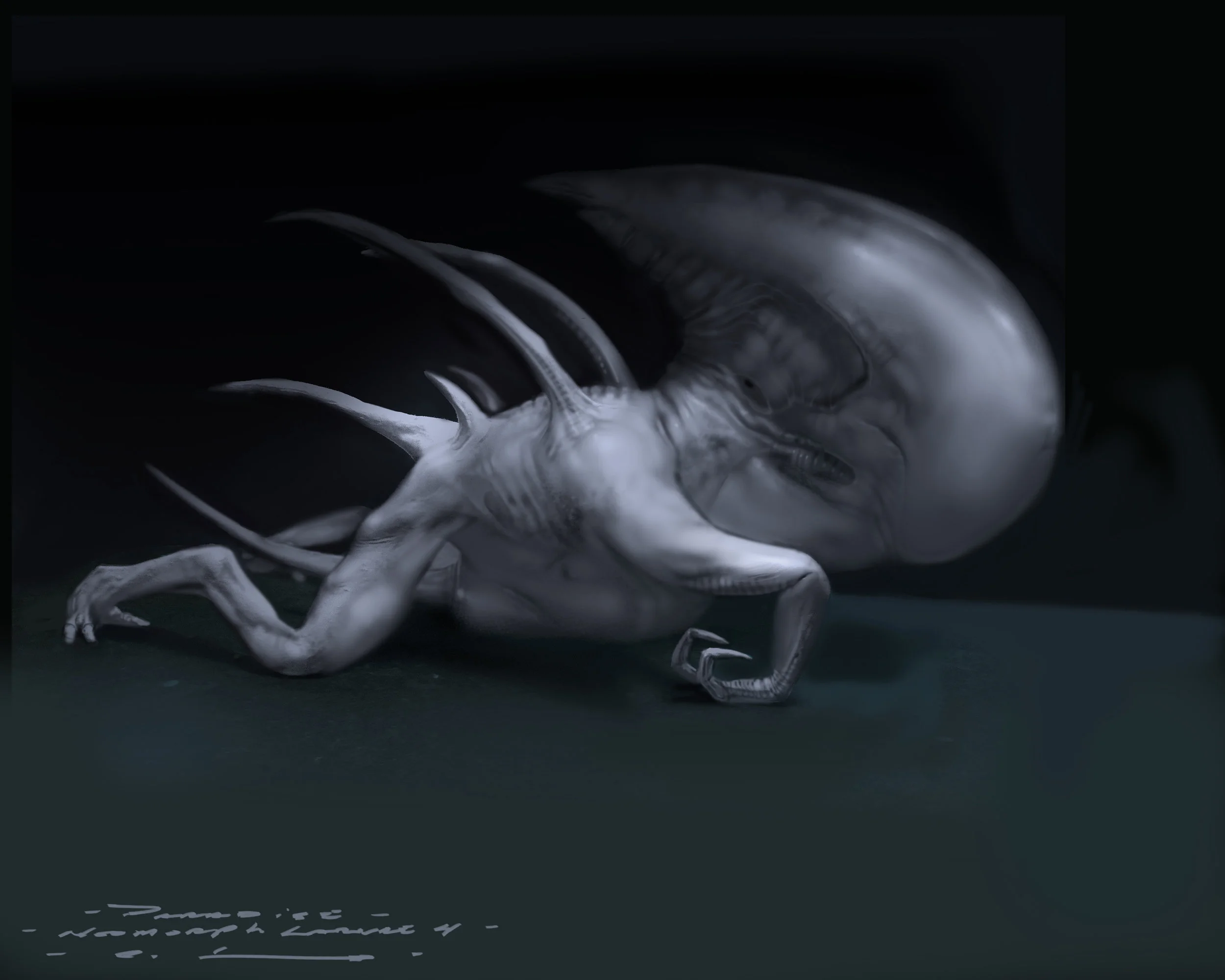 Neomorph larvae 4.jpg