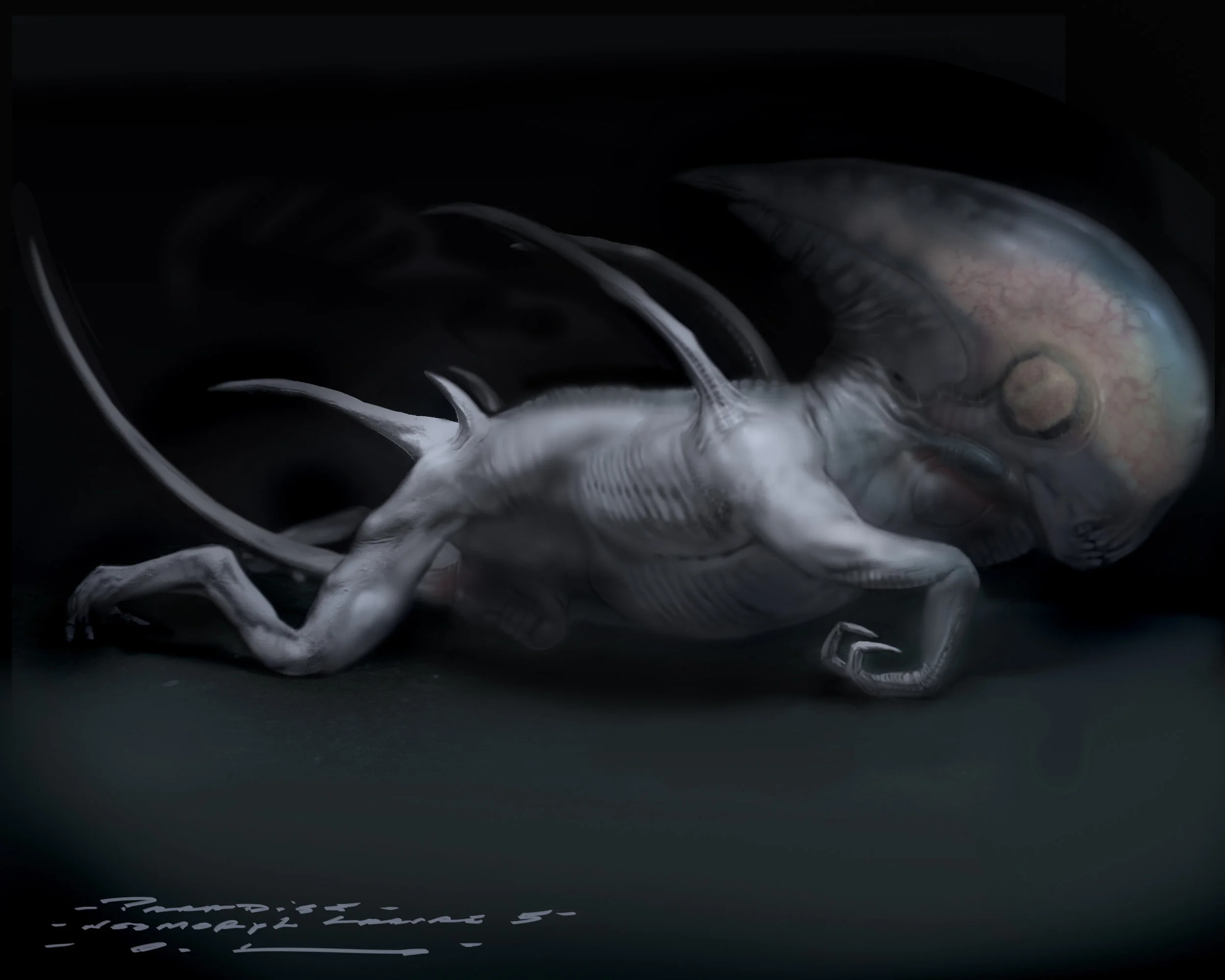 Neomorph larvae 5.jpg