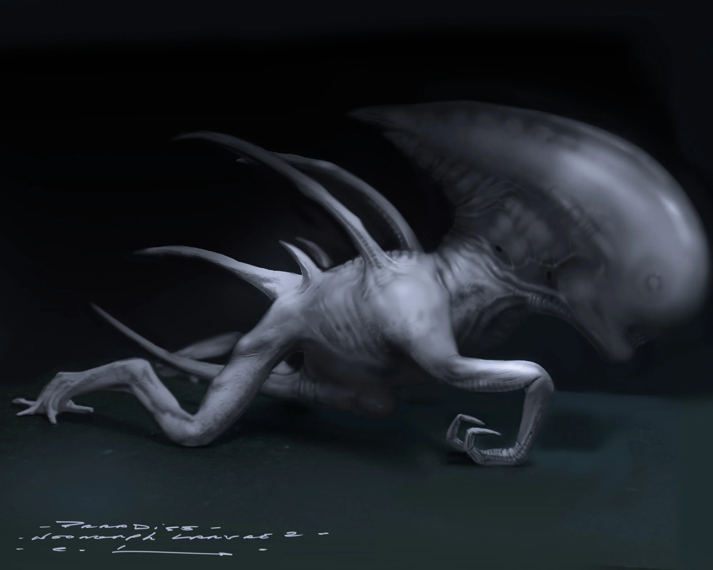 Neomorph larvae 2.jpg