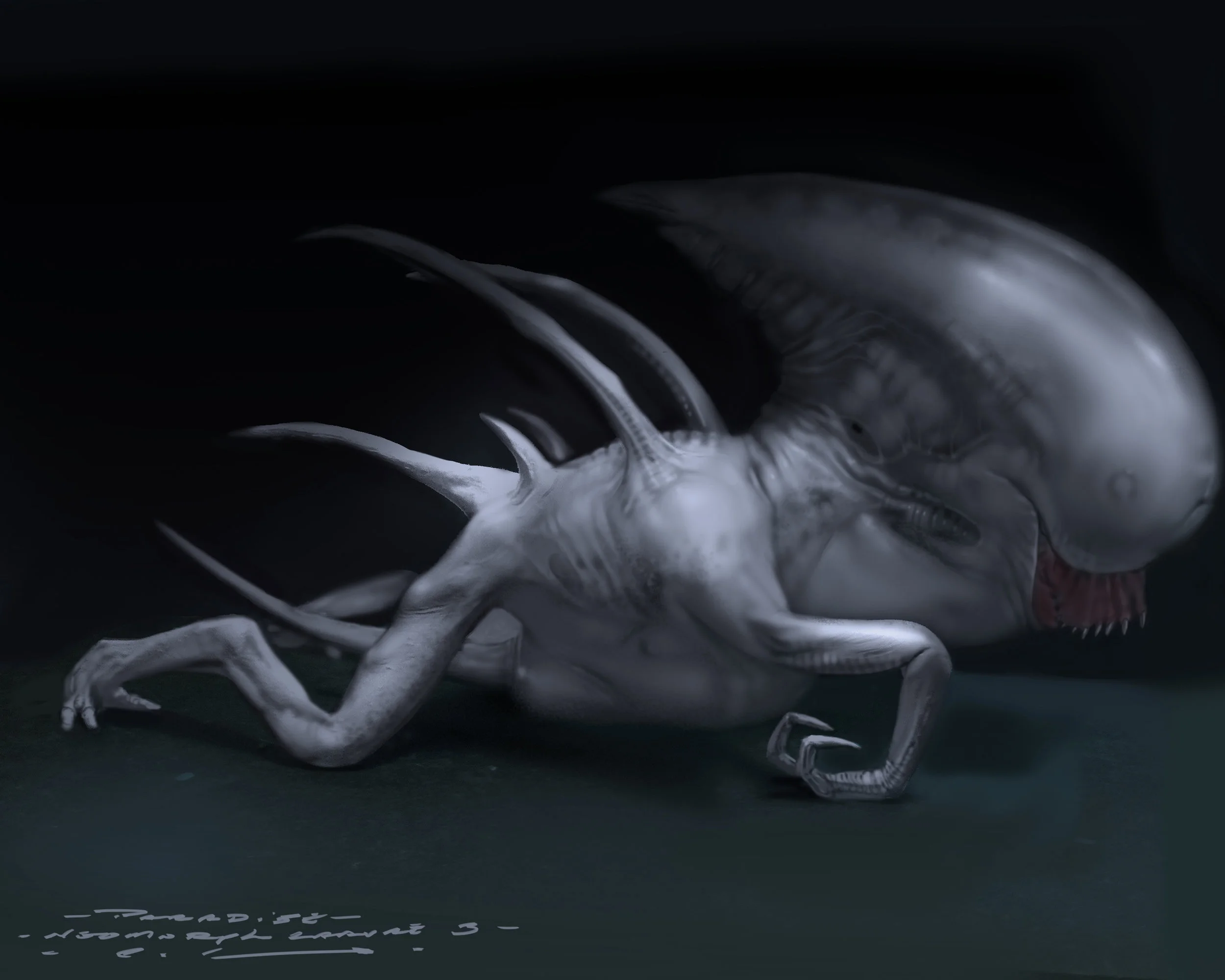 Neomorph larvae 3.jpg