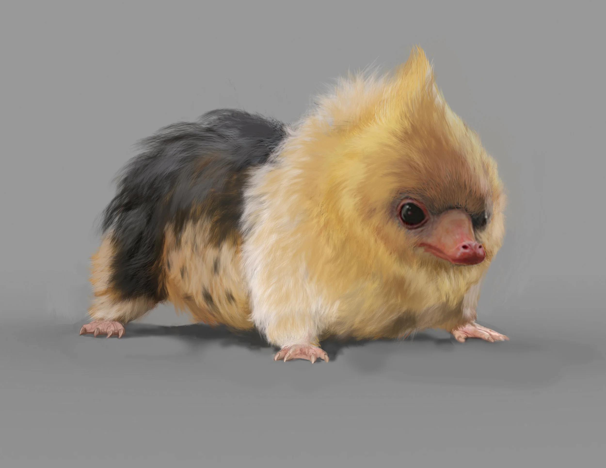 Char.BabyNiffler_v0018.jpg