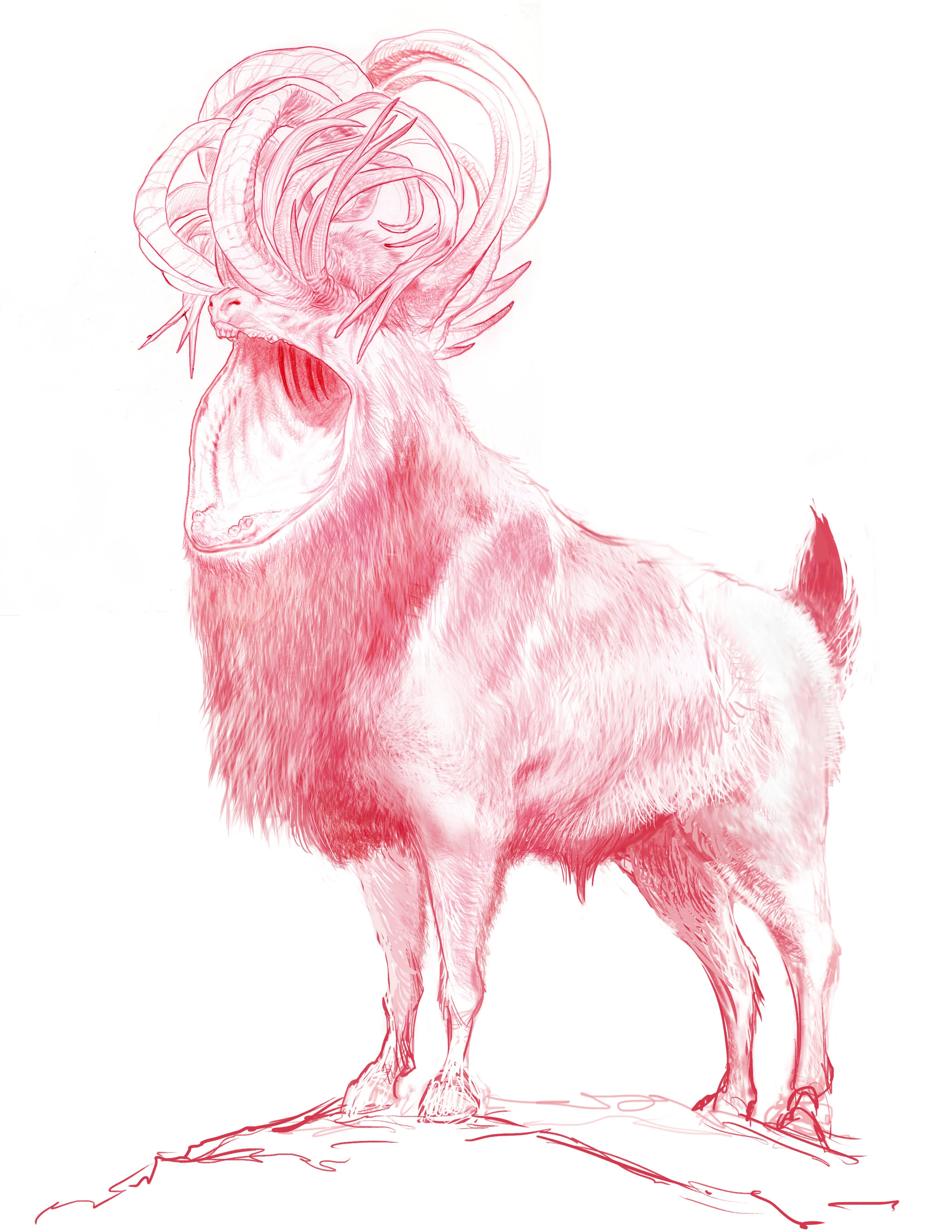 Leucrotta 9b with body.jpg