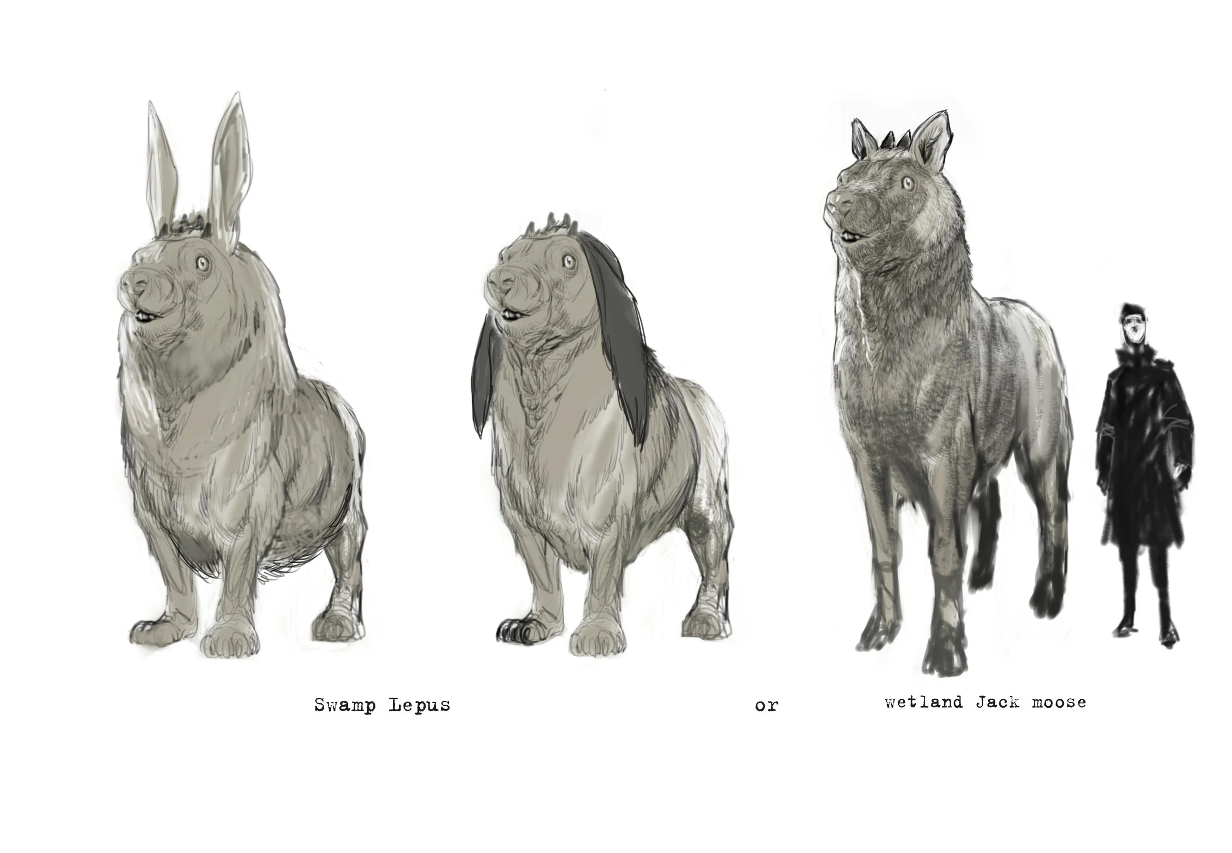 Temperate Forest creatures v002.jpg