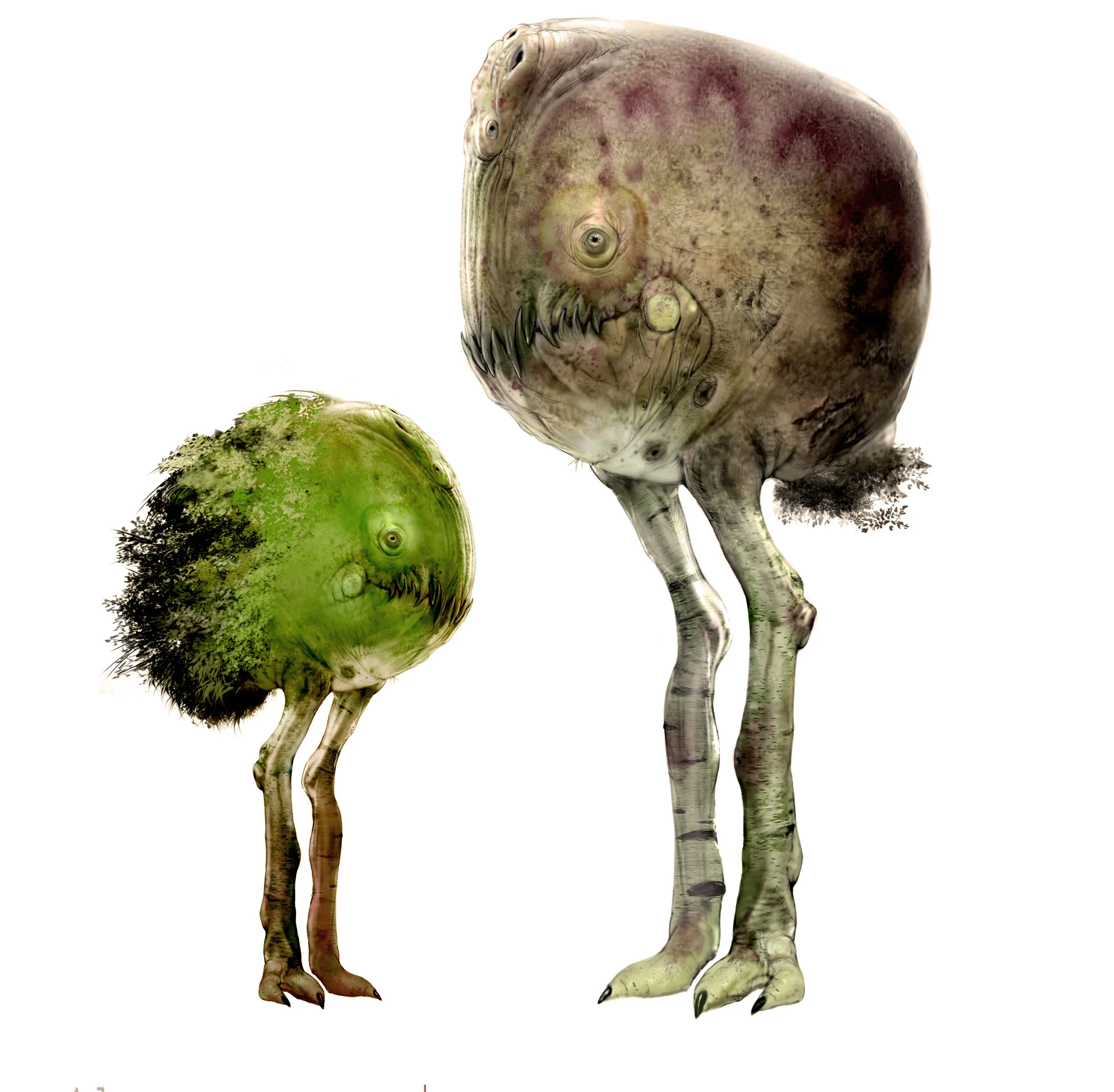 Forest Racos (Veg) V006.jpg
