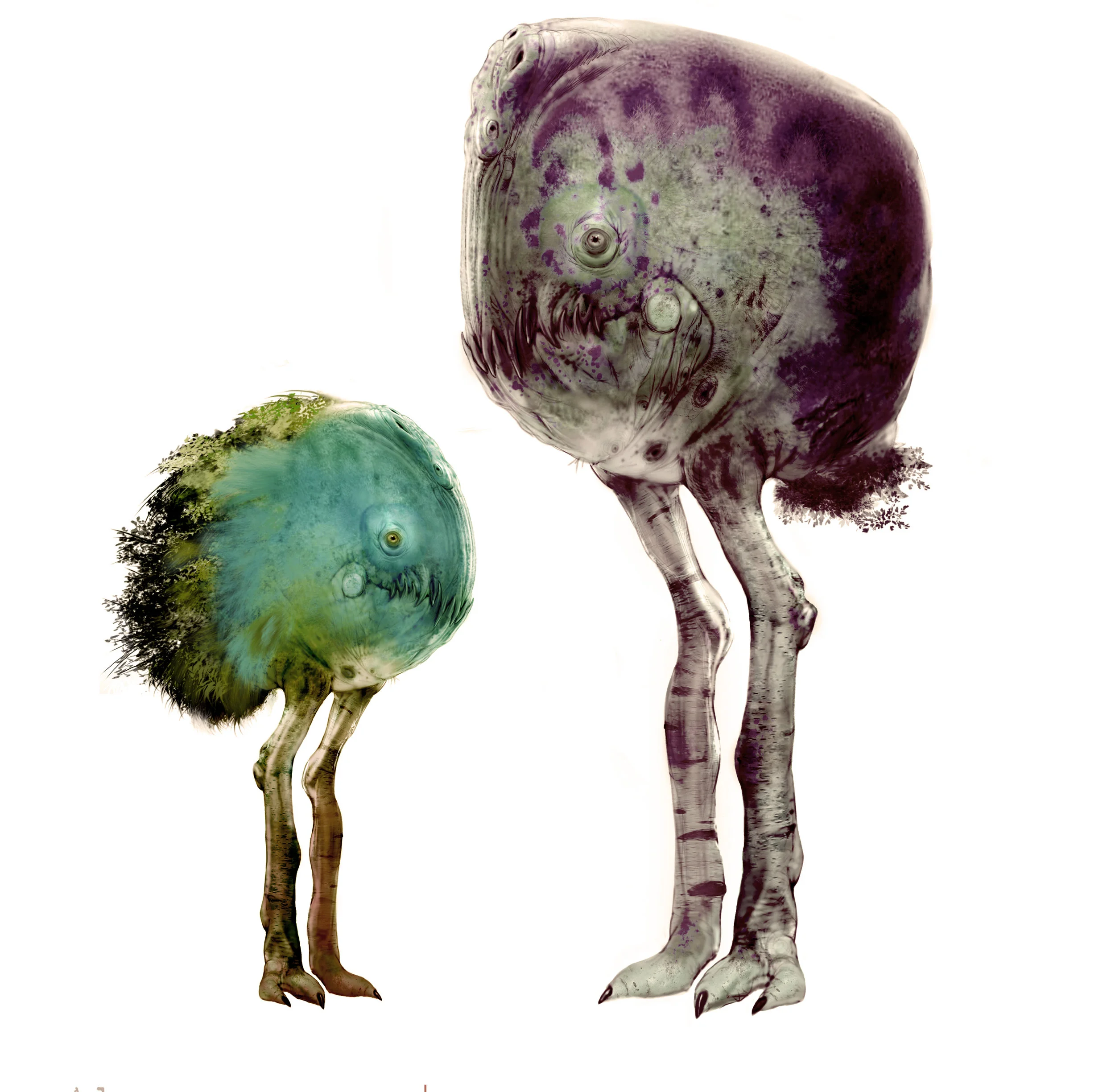 Forest Racos Veg V005.jpg