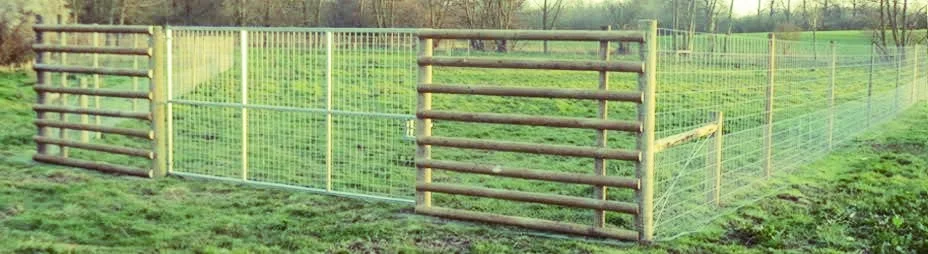 fencing 2.jpg
