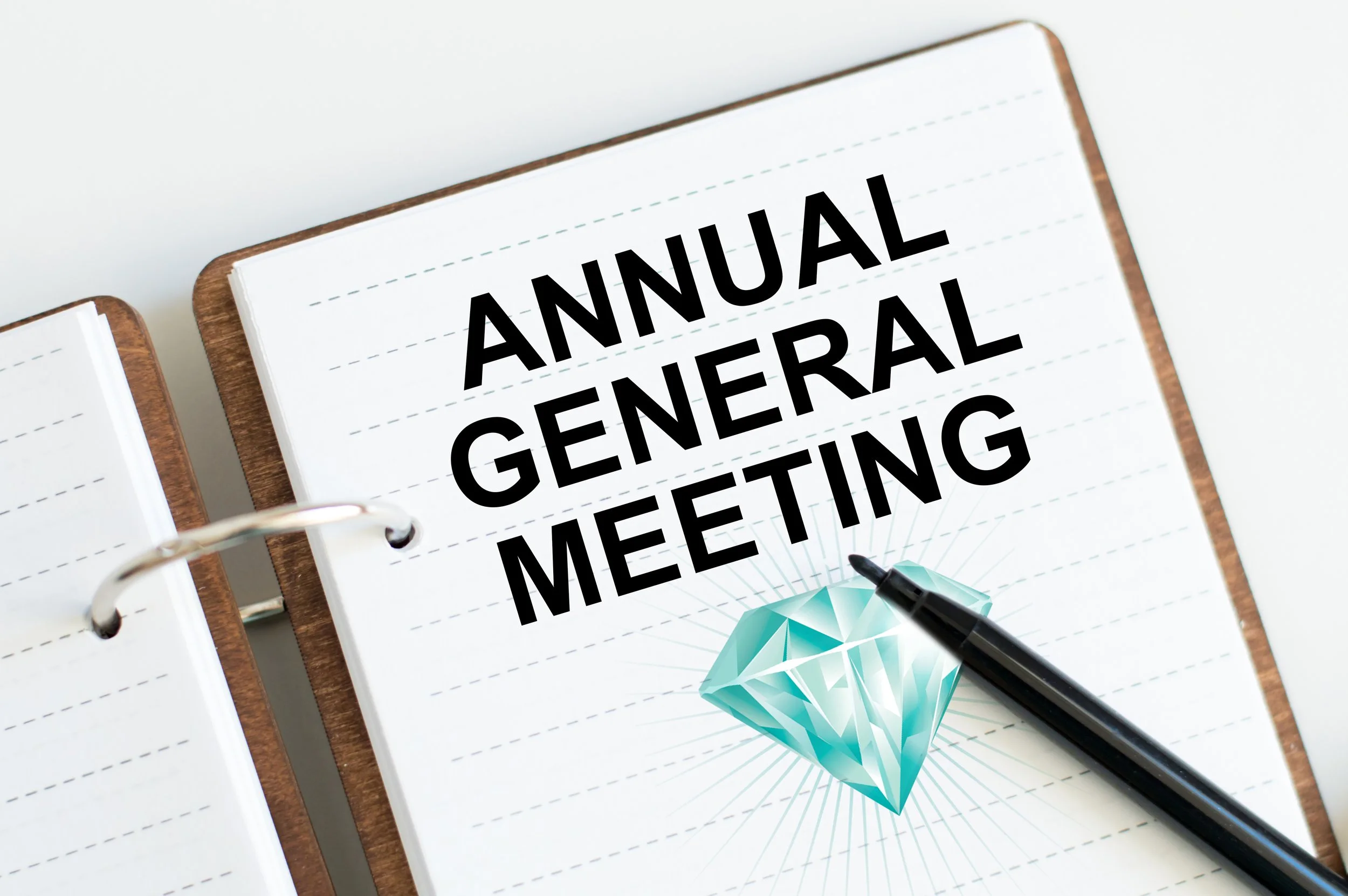 AGM - Annual General Meeting