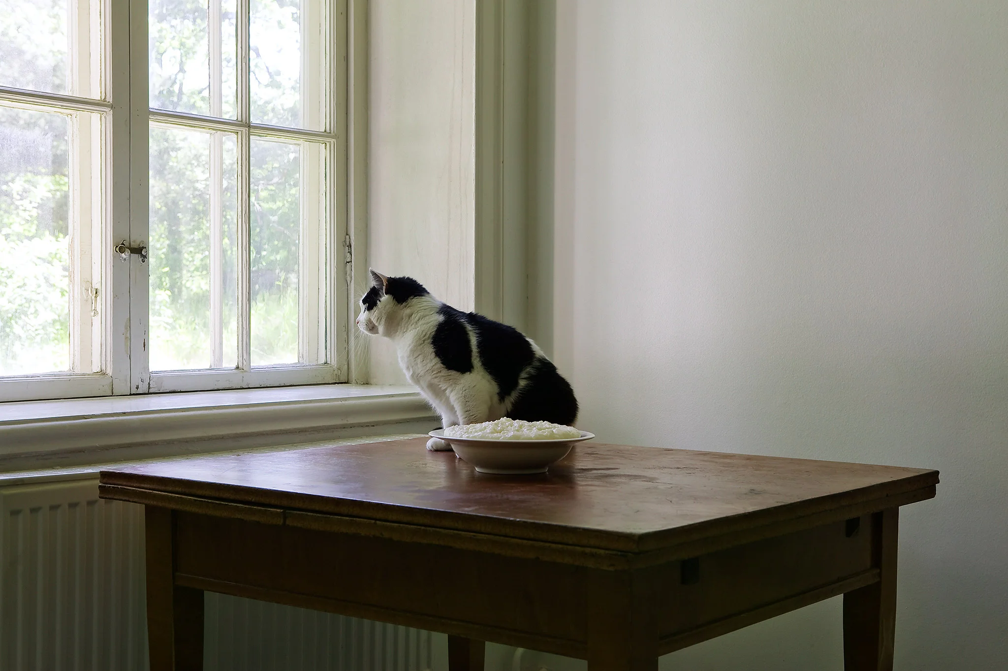 Gå som katten kring het gröt (Beat about the bush)