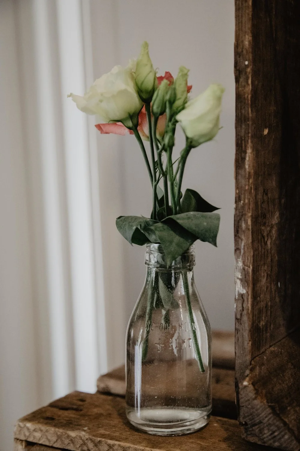 albert cottage flowers 3.jpeg