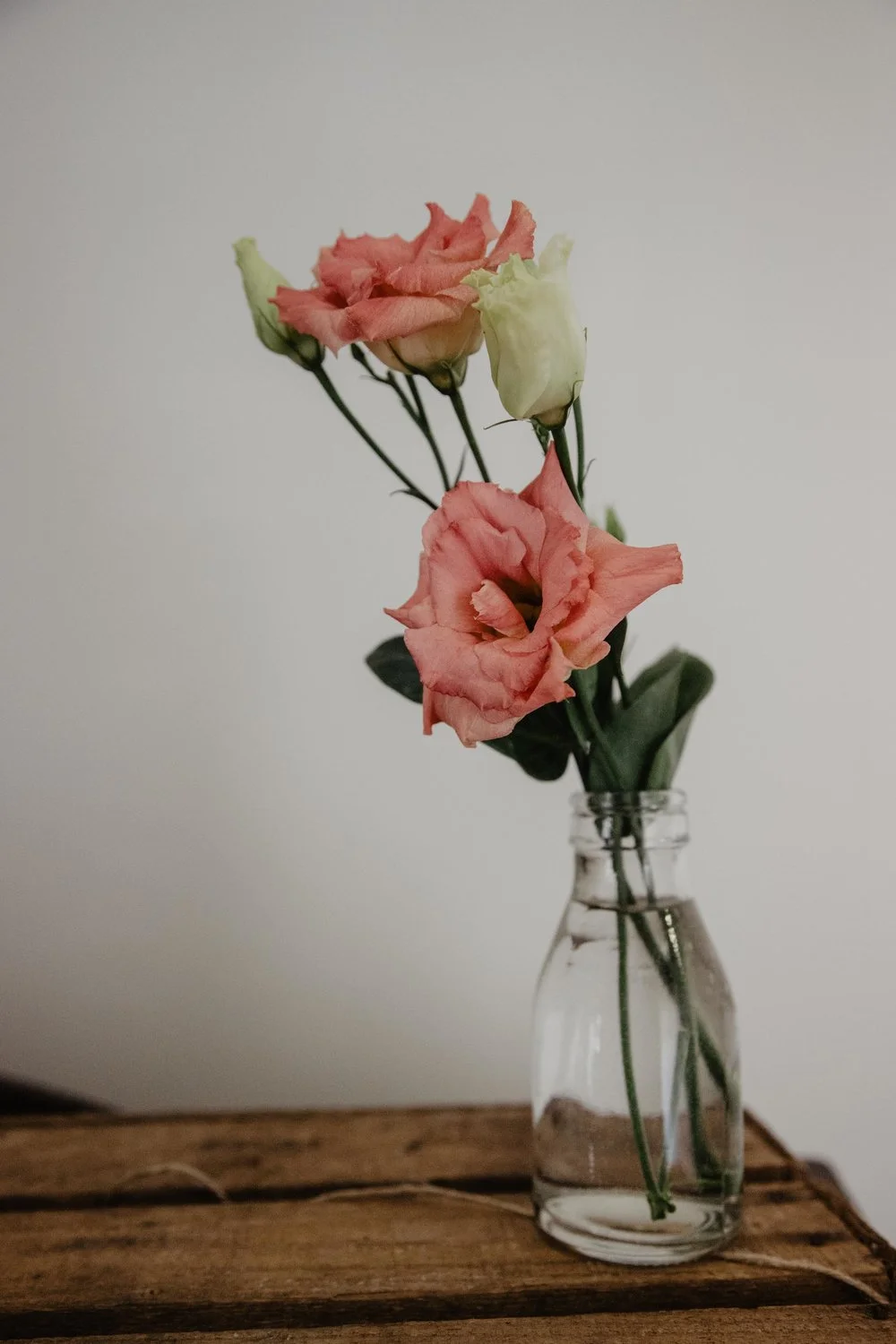 albert cottage flowers 4.jpeg