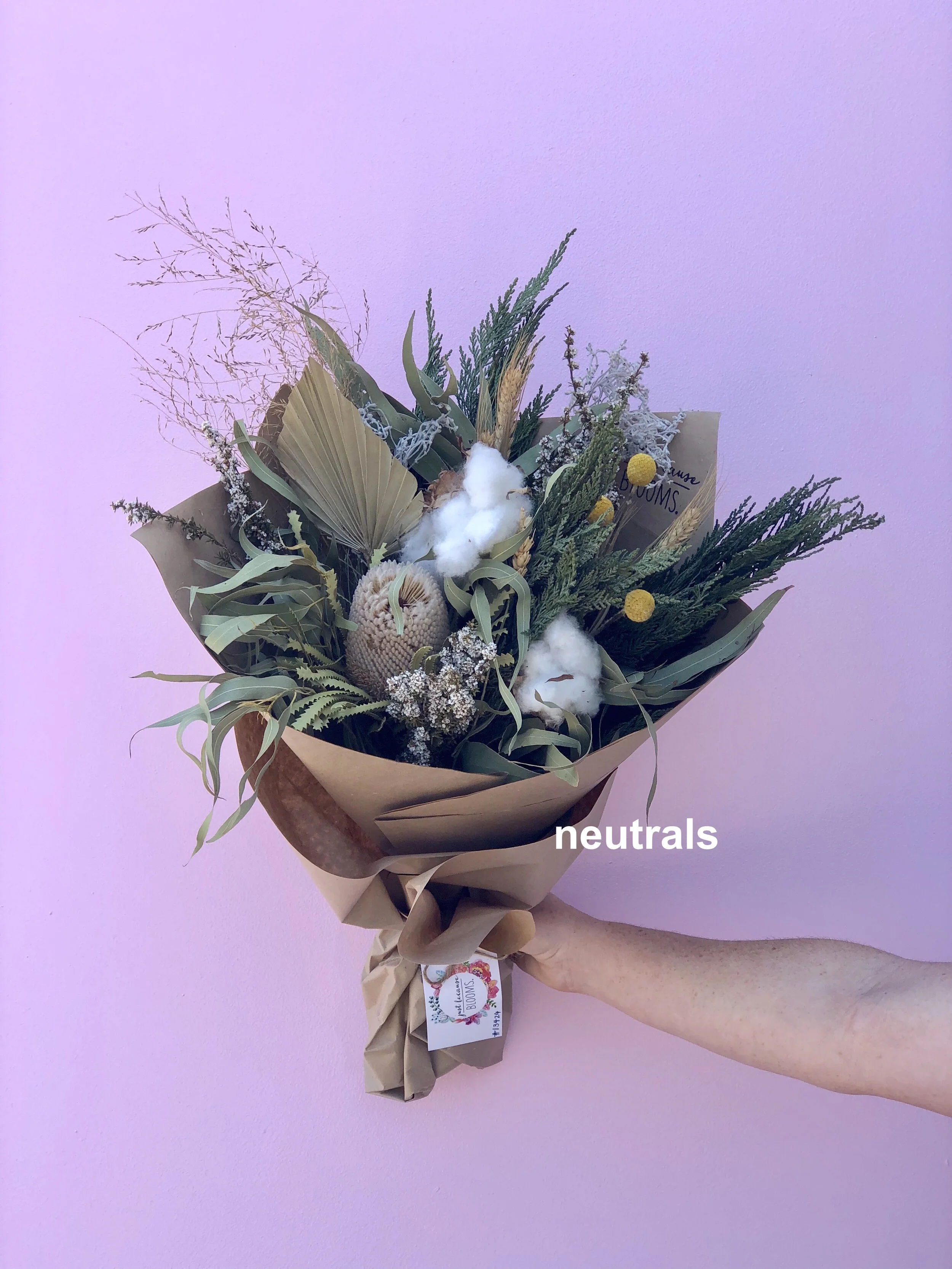 bambino dried neutral.jpg