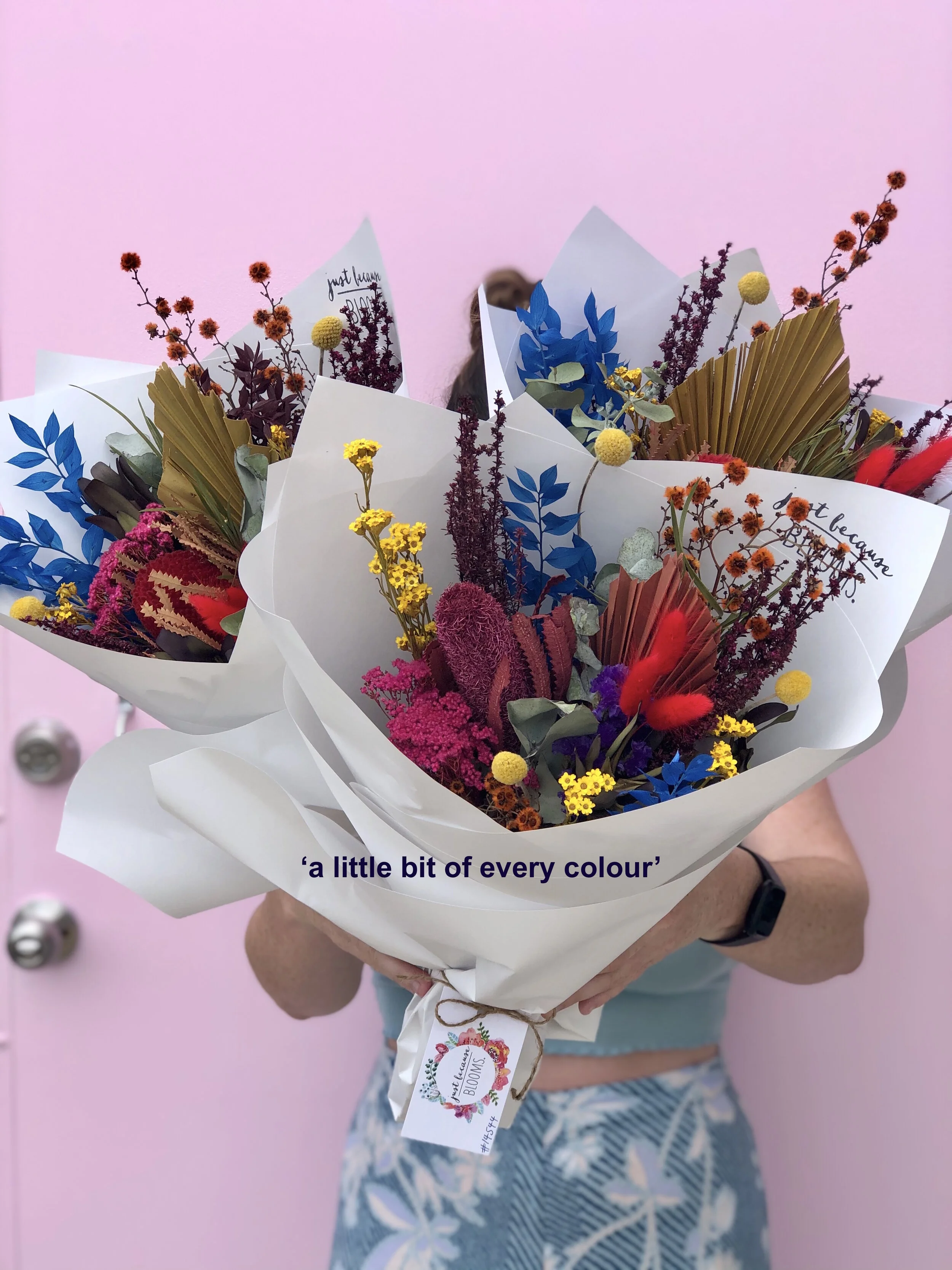 dried bambino rainbow.jpg