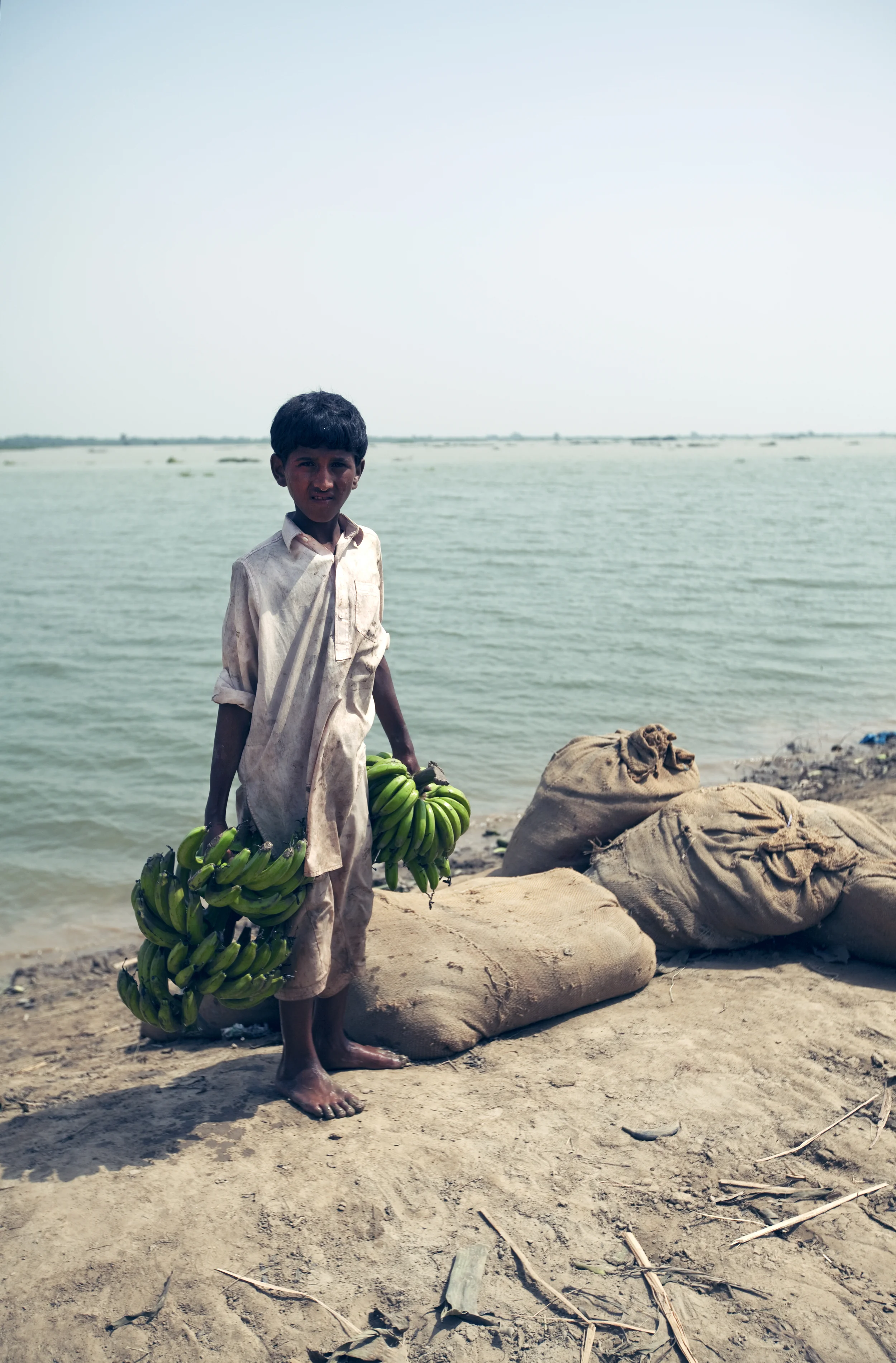 Sujawal, Pakistan - August 2010 : This boy was trying to save whatever is left with the drowned banana plantation.