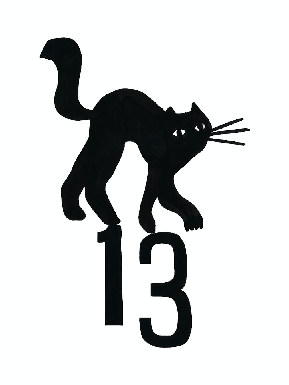 Image result for 13 cat
