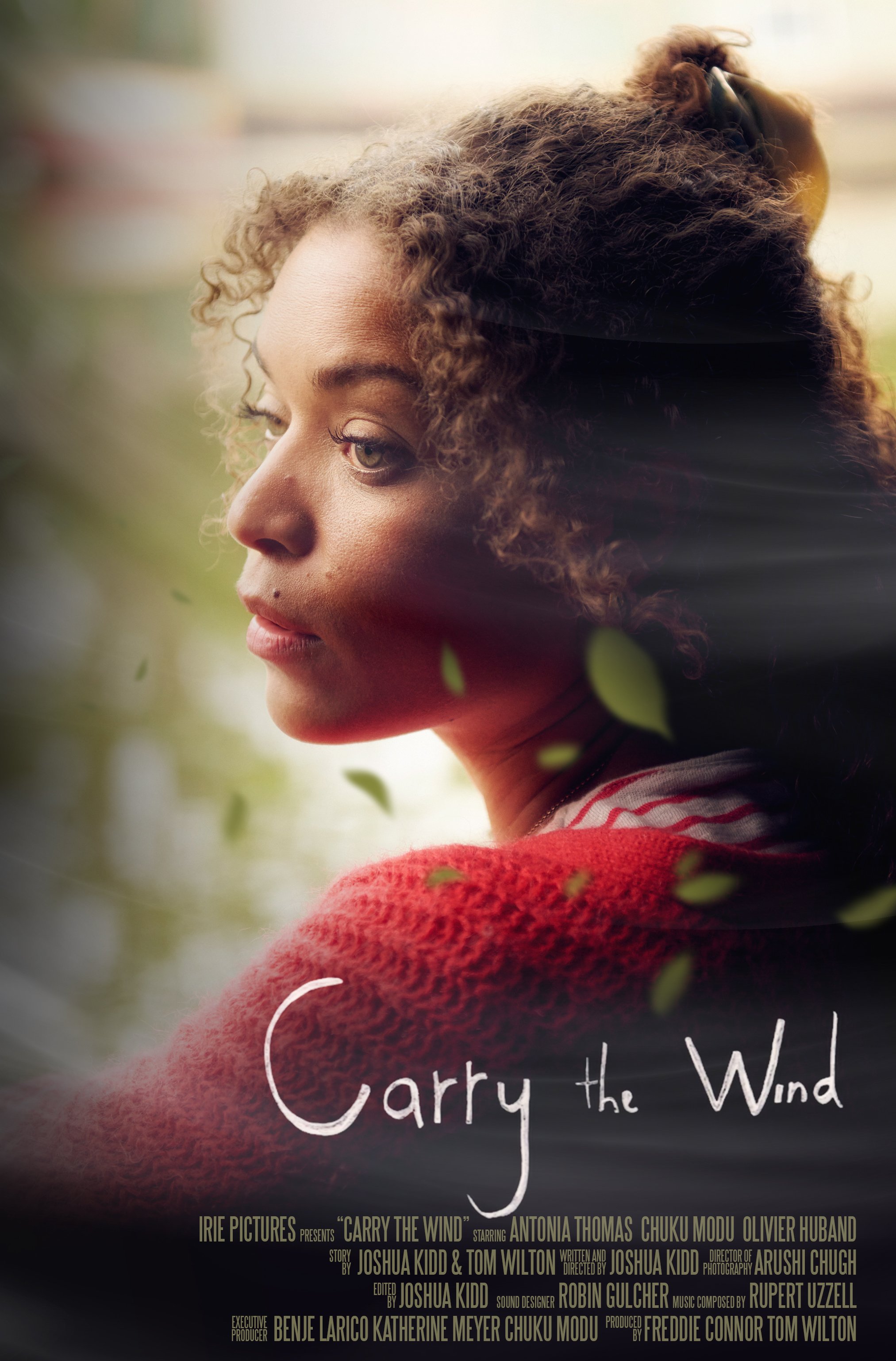 Carry the Wind (1).jpg