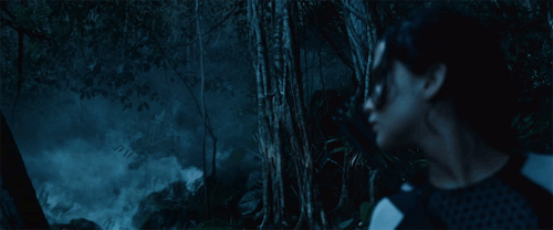 Lionsgate || The Hunger Games: Catching Fire