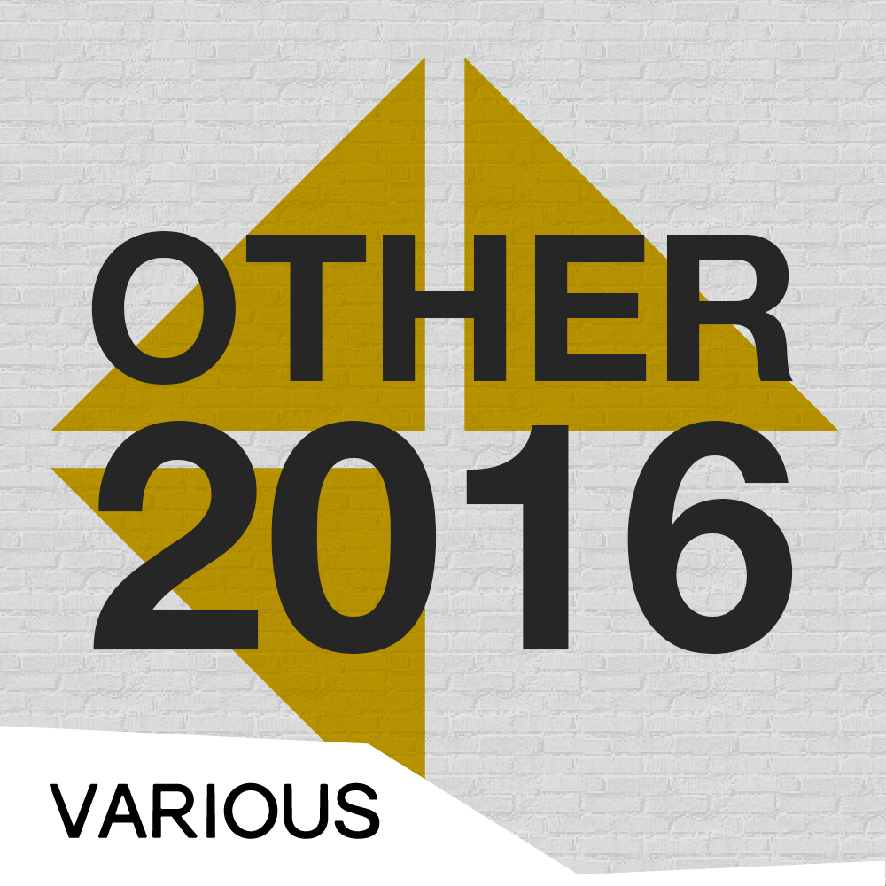 Other 2016 - Cover.jpg