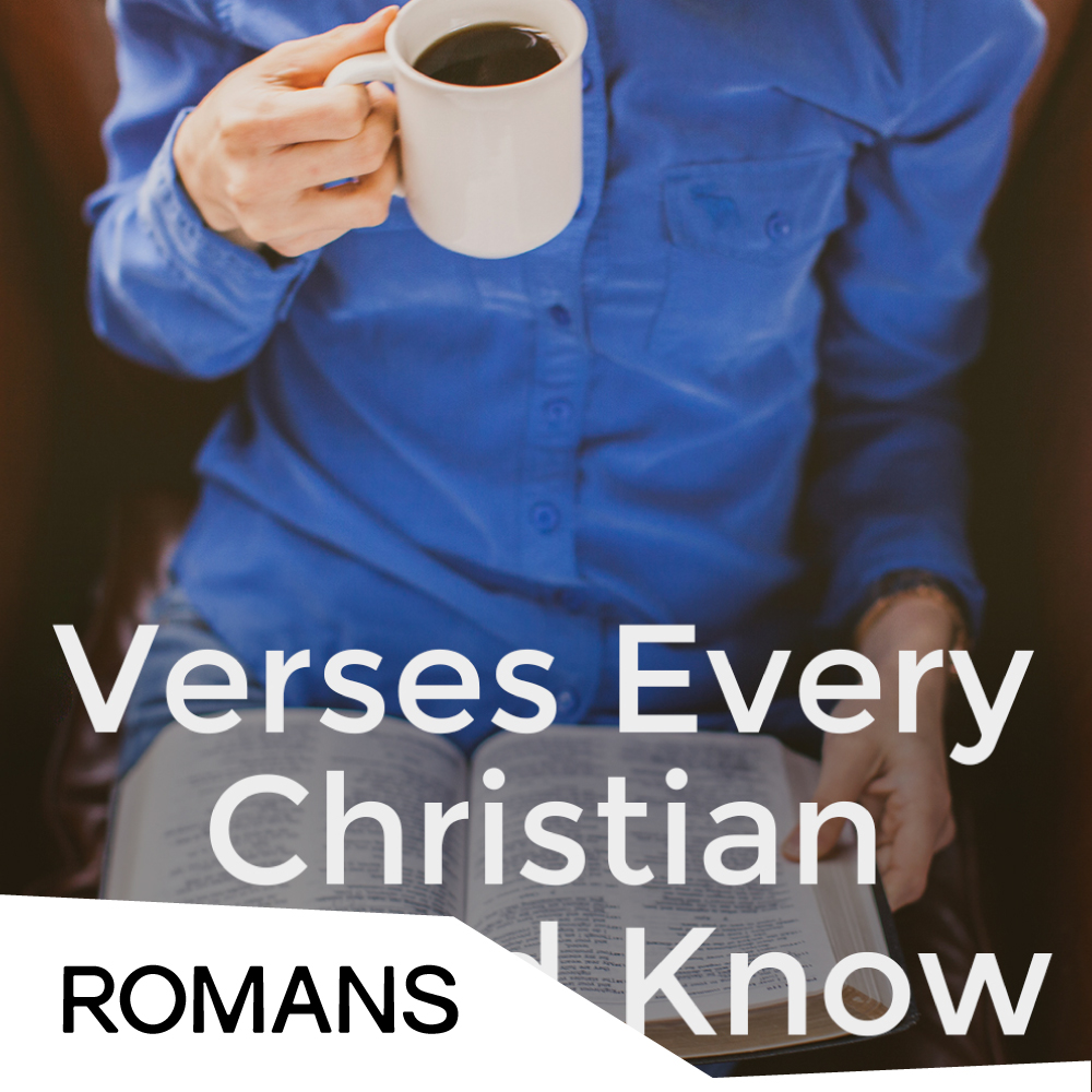 Verses Every Christian Should Know - Cover.jpg