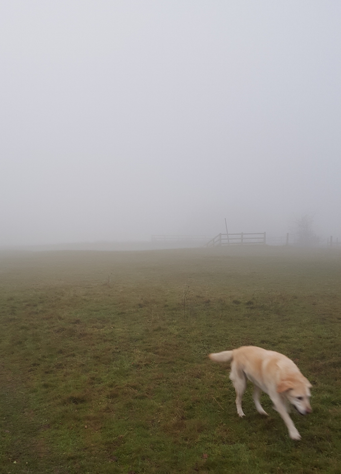 20161206_082842.jpeg