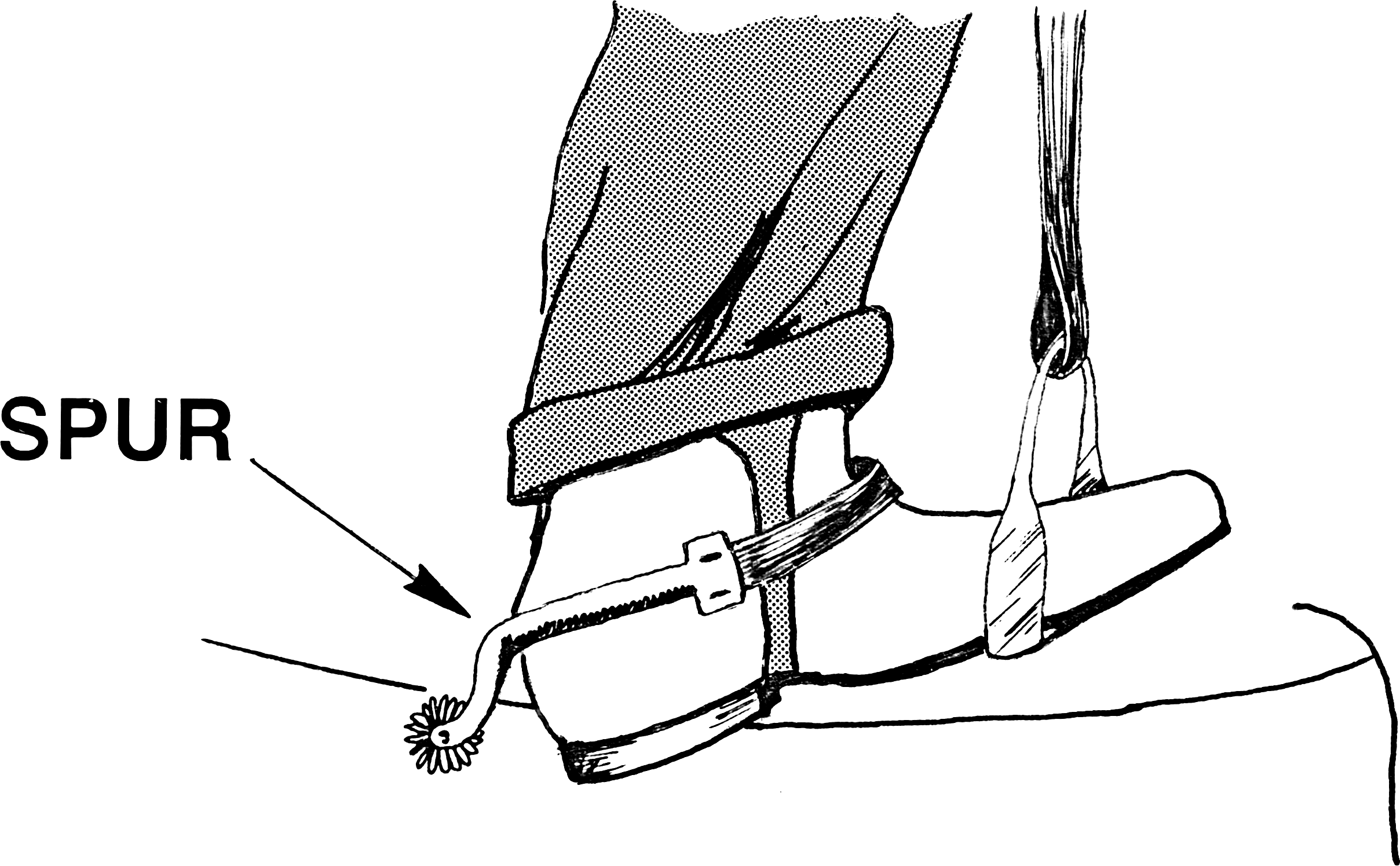 Spur_(PSF).png