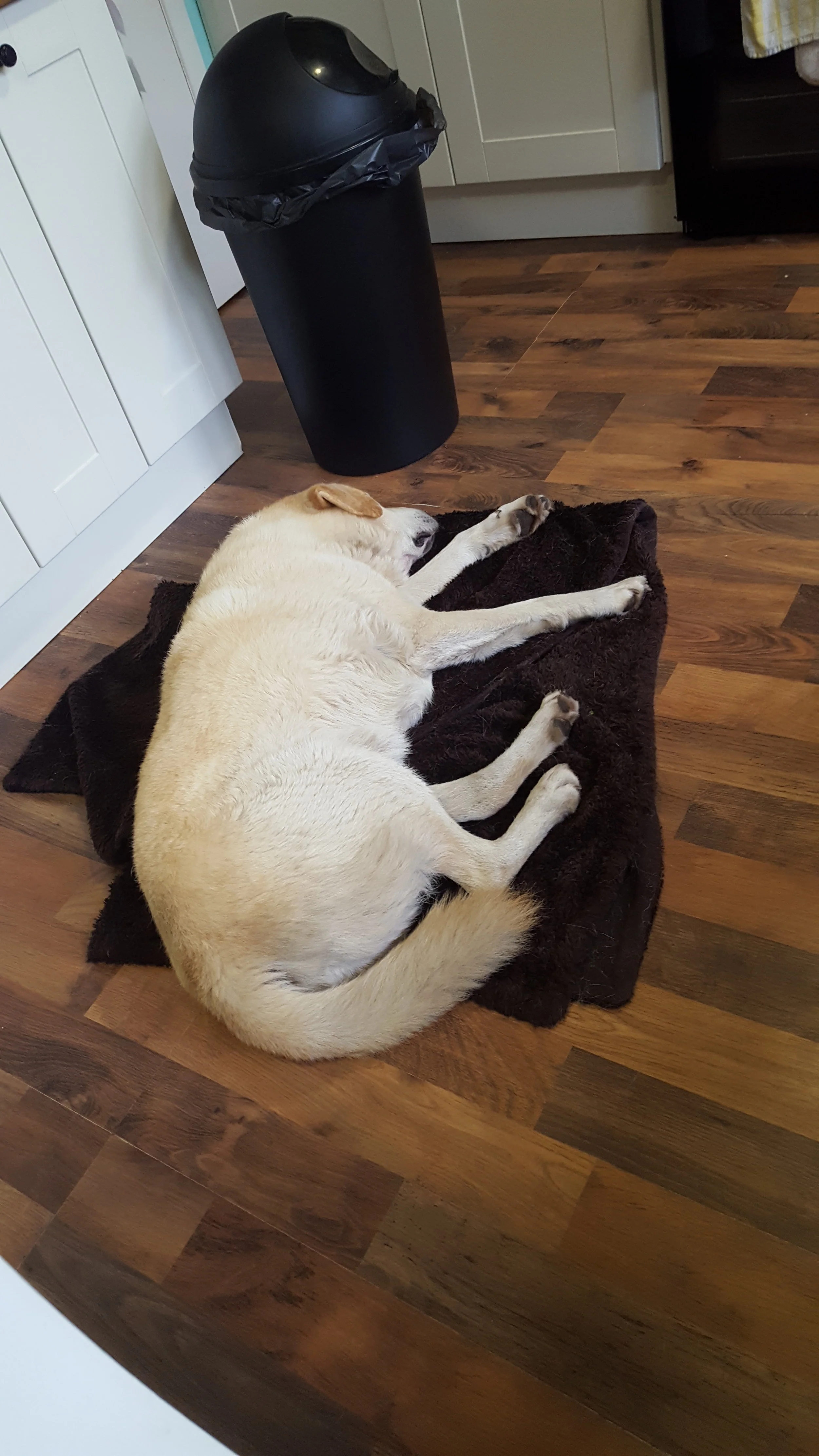 Post run but alive!