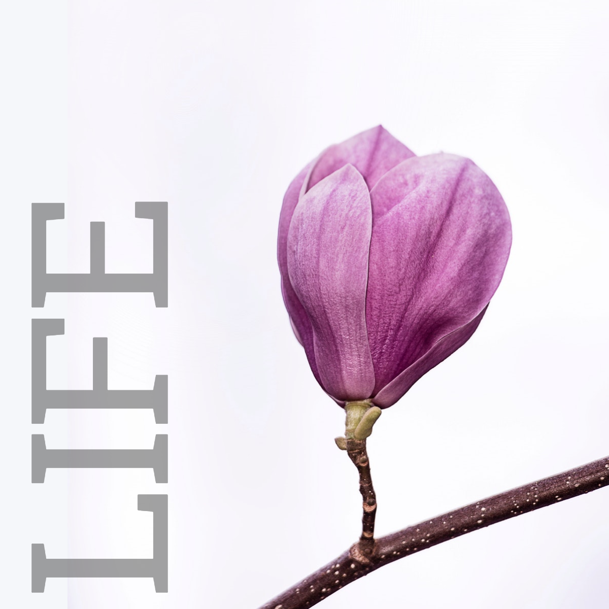 Life John SoundCloud.png
