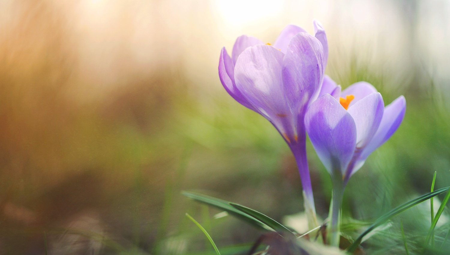 aaron-burden-hB_xgEXucQs-unsplash EDIT.jpg