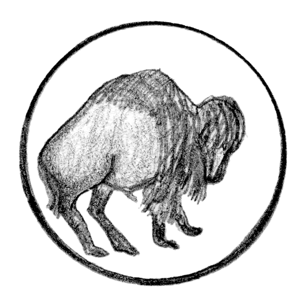 Buffalo