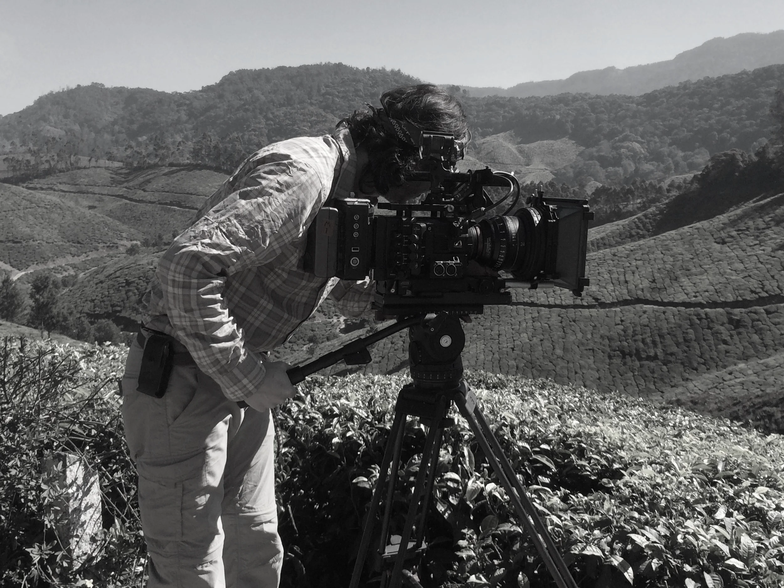 Munnar, Kerala, India