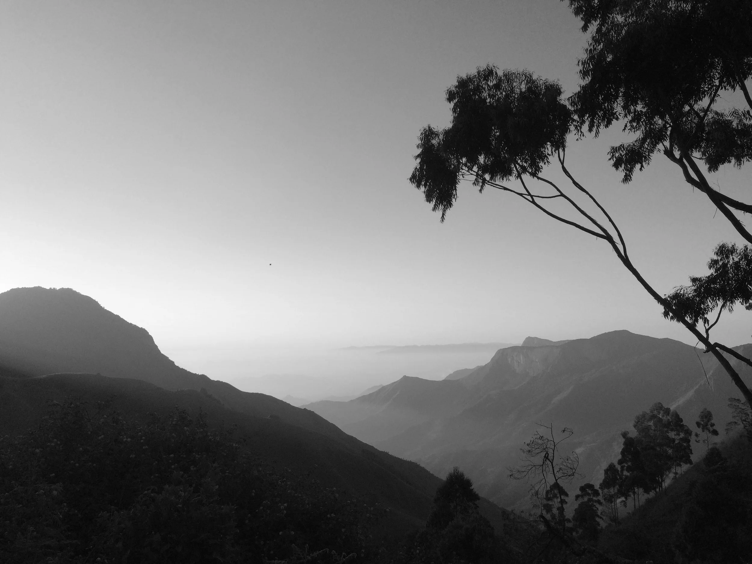 Munnar, Kerala, India