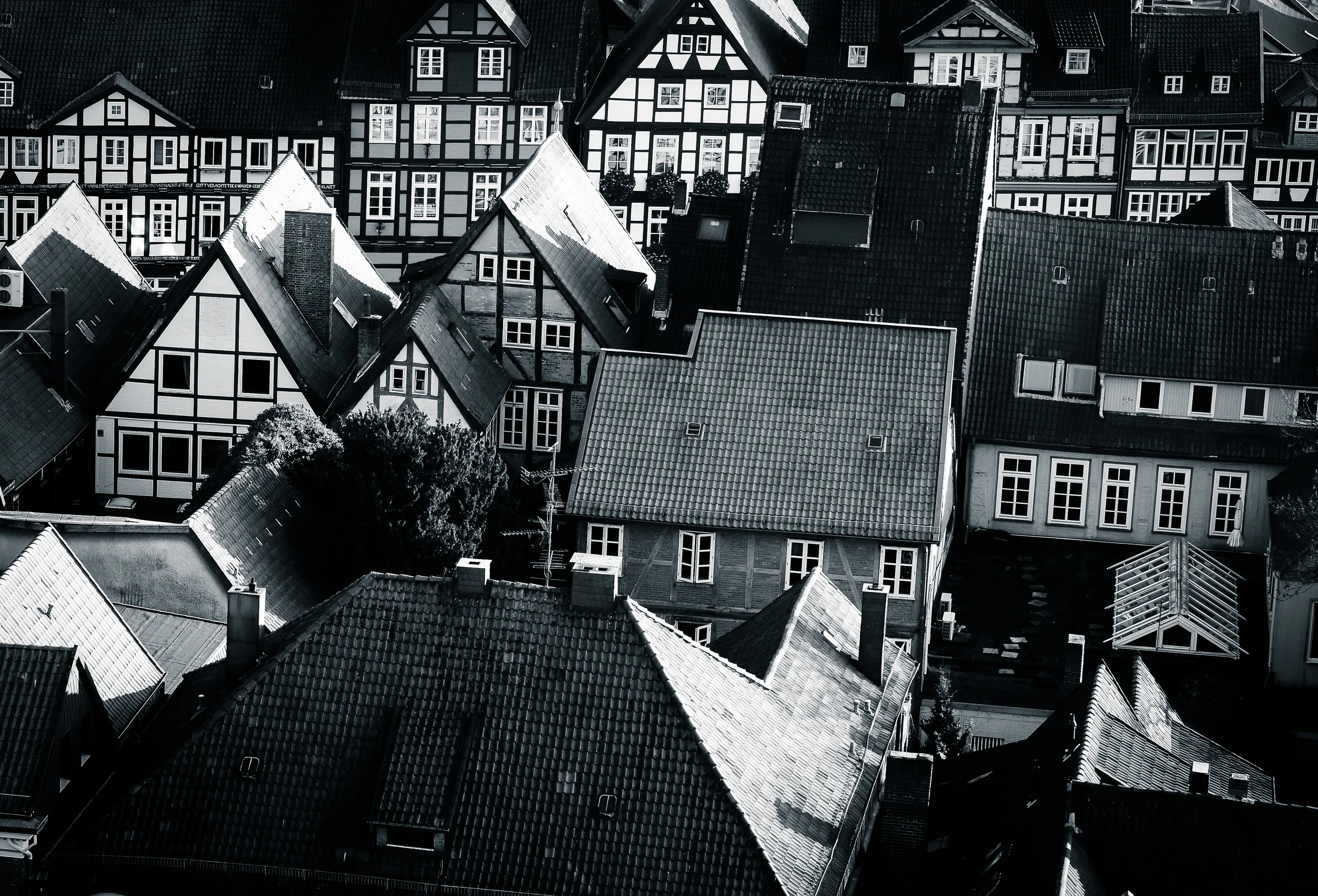 rooftops1.jpg