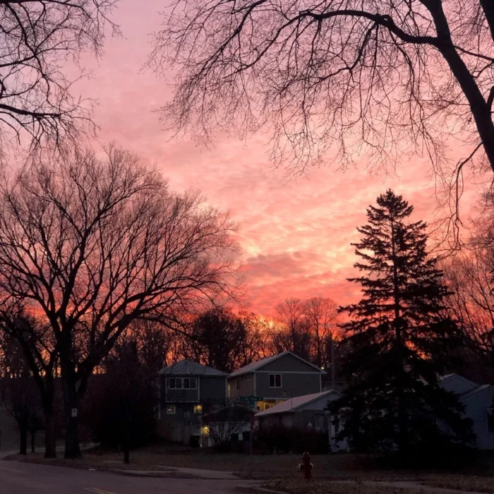 morning sunrise en route to bus stop.jpg