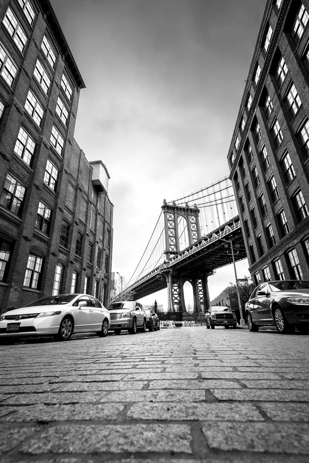 Dumbo1.jpg