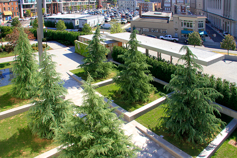 The Barnes Foundation Olin