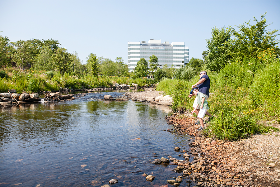 Mill River Park and Greenway — OLIN