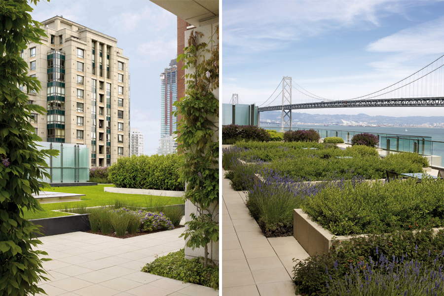 Gap Headquarters — OLIN