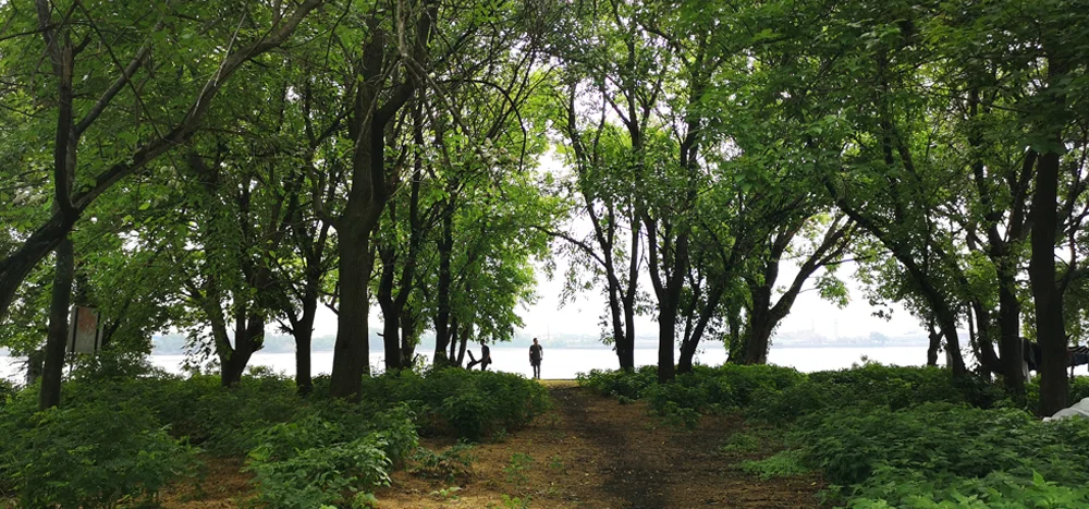 SouthWetlands-blog-emailheader.jpg